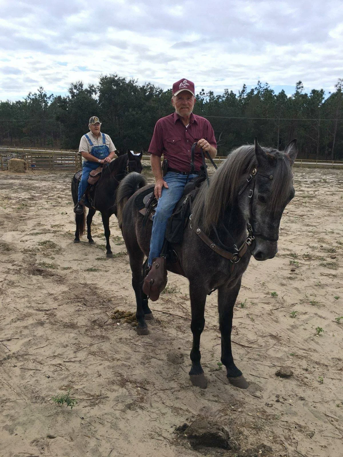 Black Horse Resort Ranch