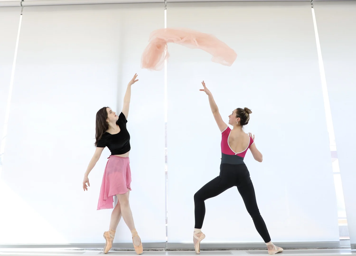 Productions — Harvard Ballet Company