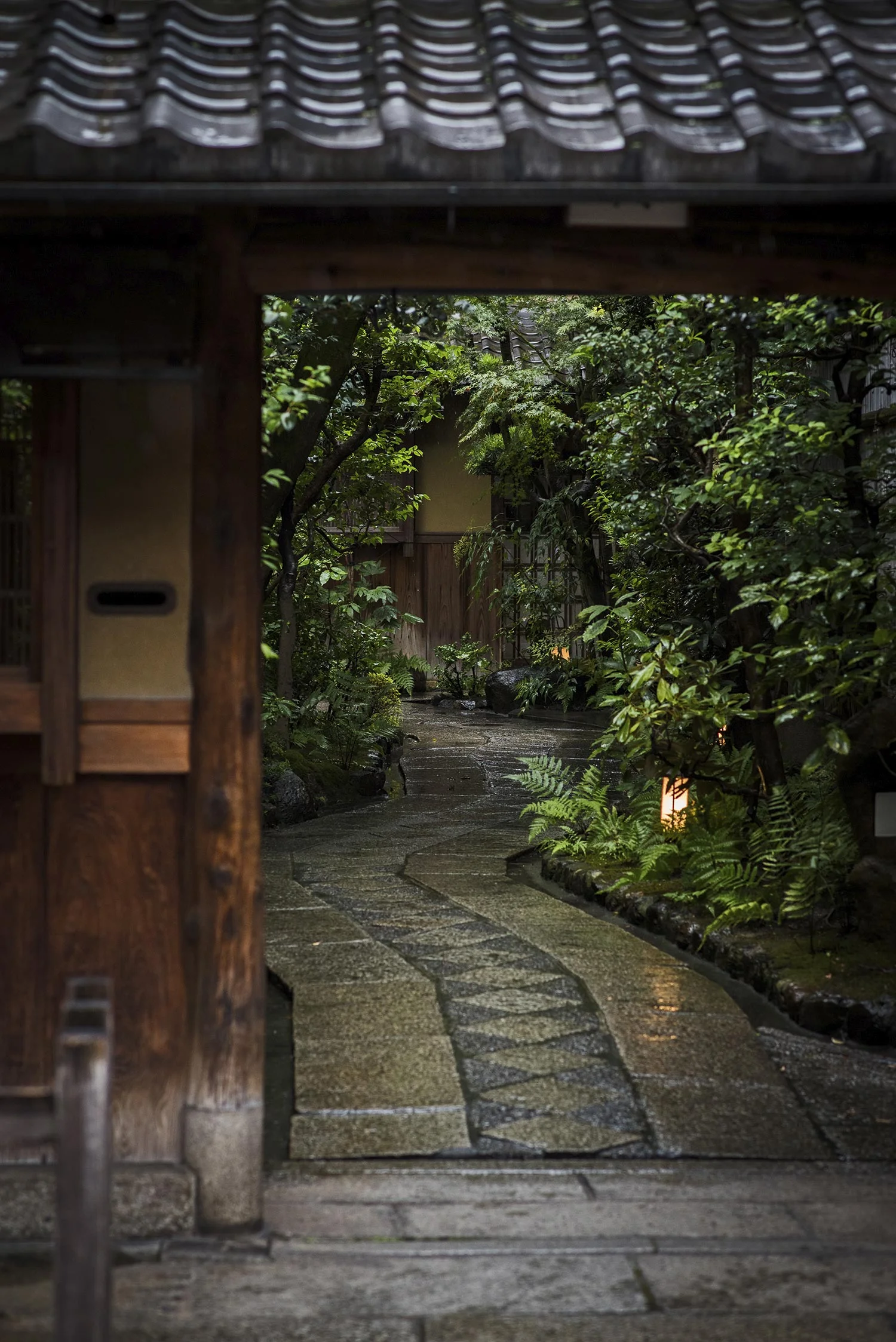 JapanTrip-MichaelaWarthen378.jpg