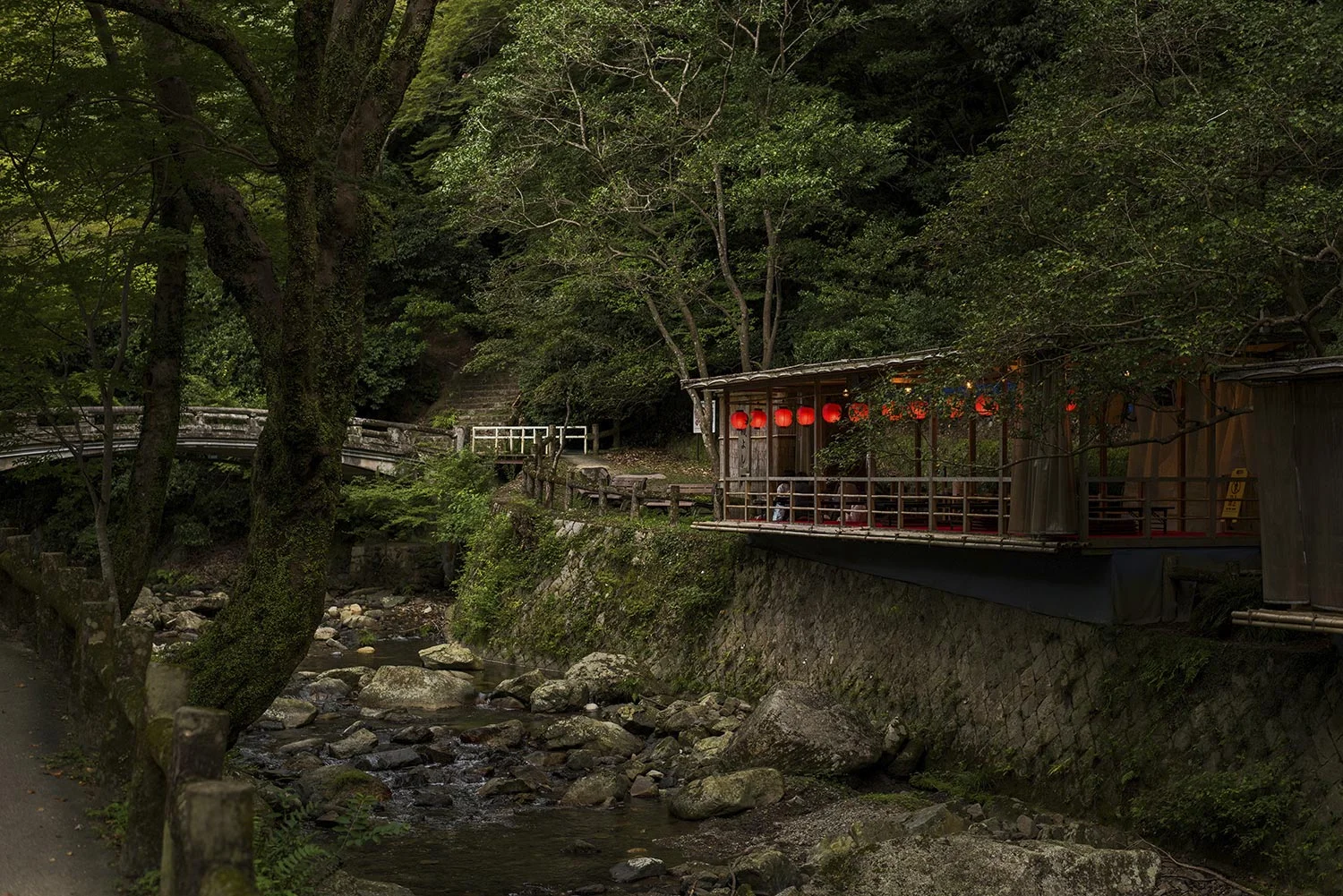 JapanTrip-MichaelaWarthen253.jpg
