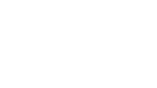 hiedison.png