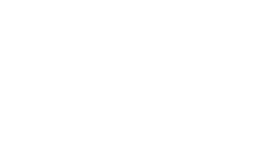 smart caravan gw.png