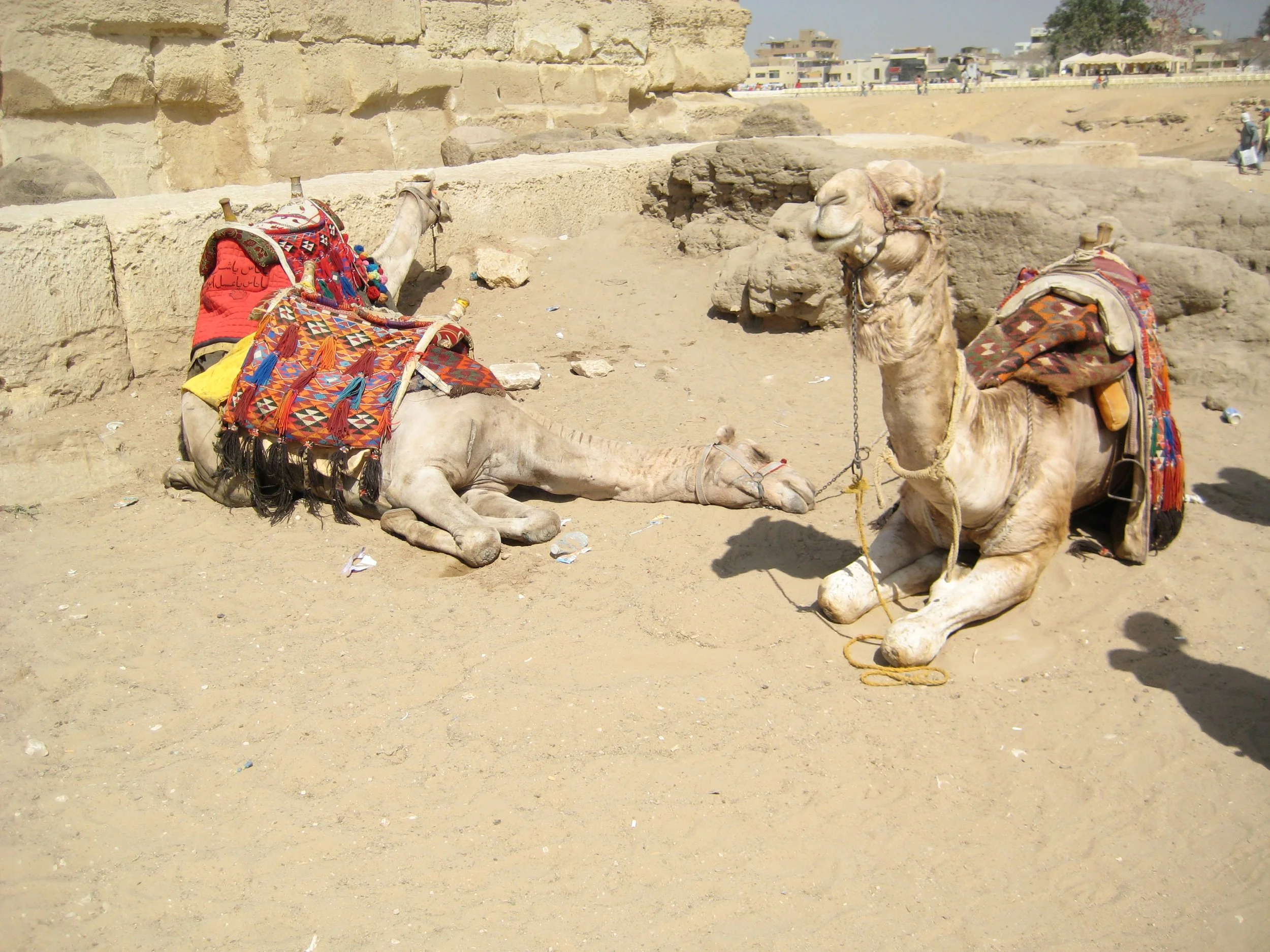 2008-03-19 Cairo - Pyramids (57).JPG