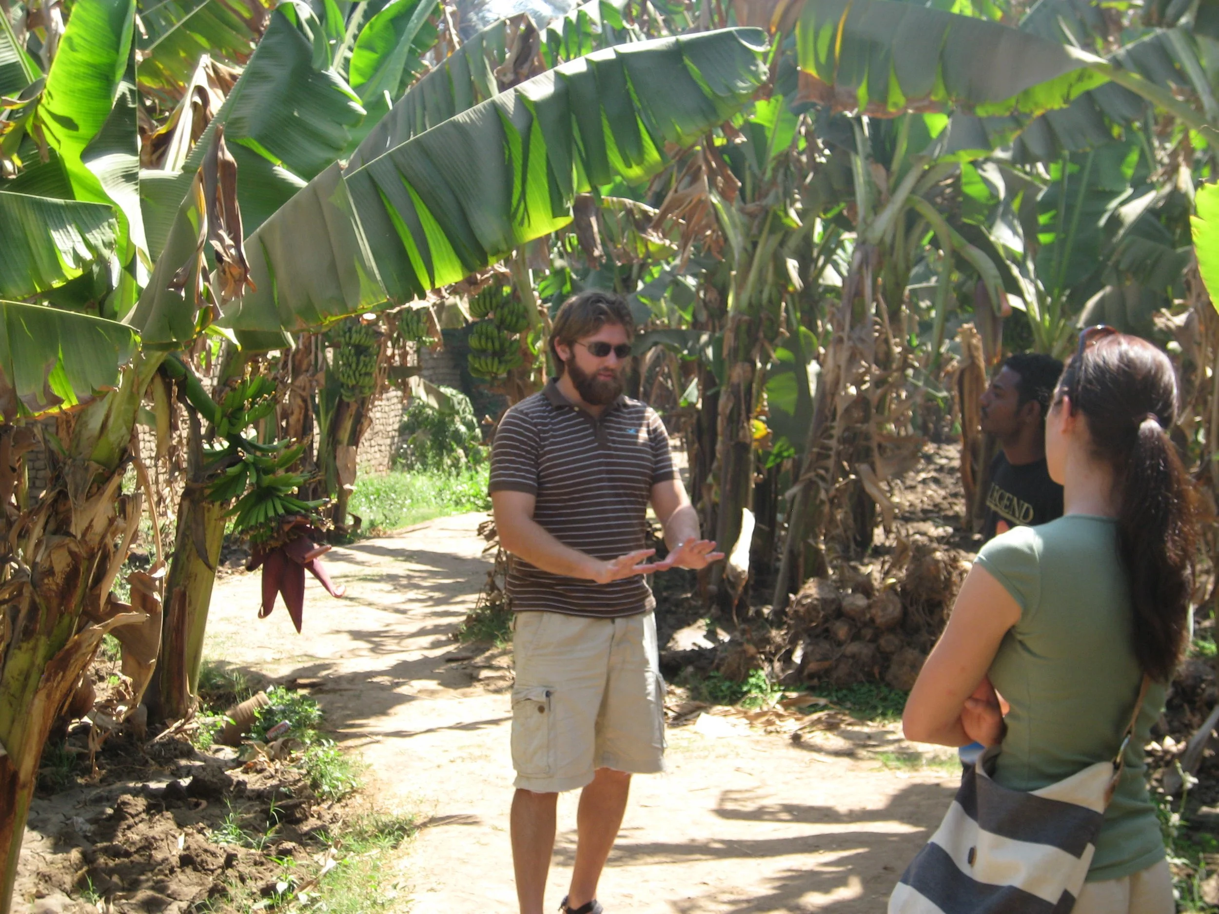 2008-03-23 Luxor (17).JPG