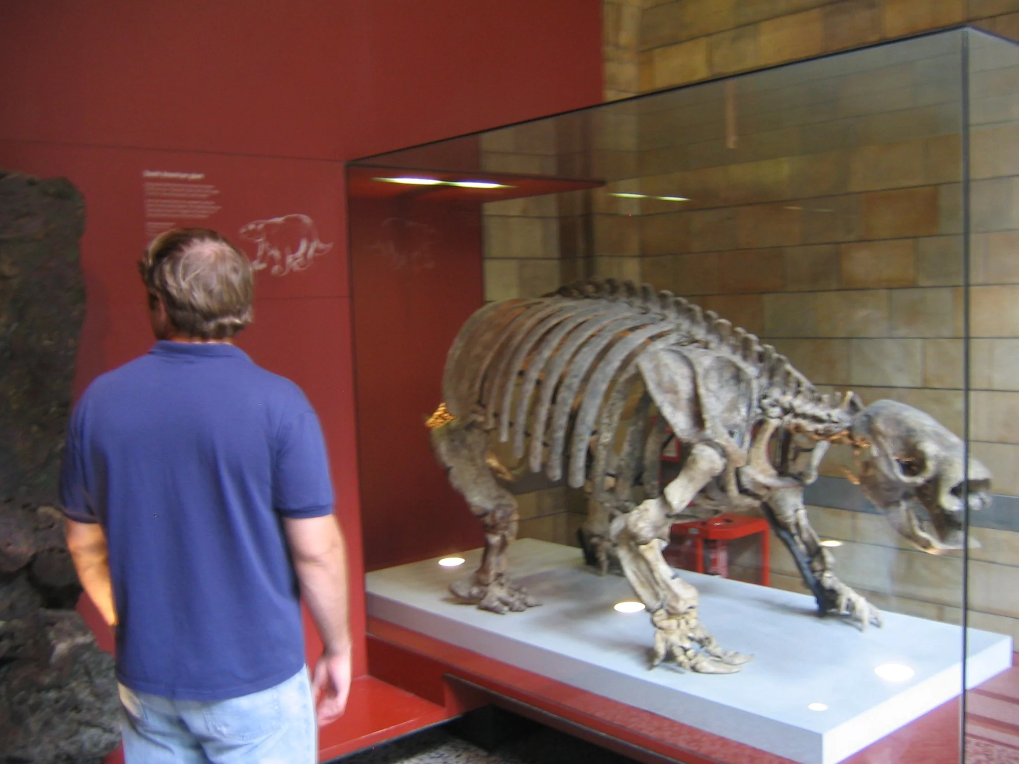 15 British Nat Hist IMG_3341.JPG