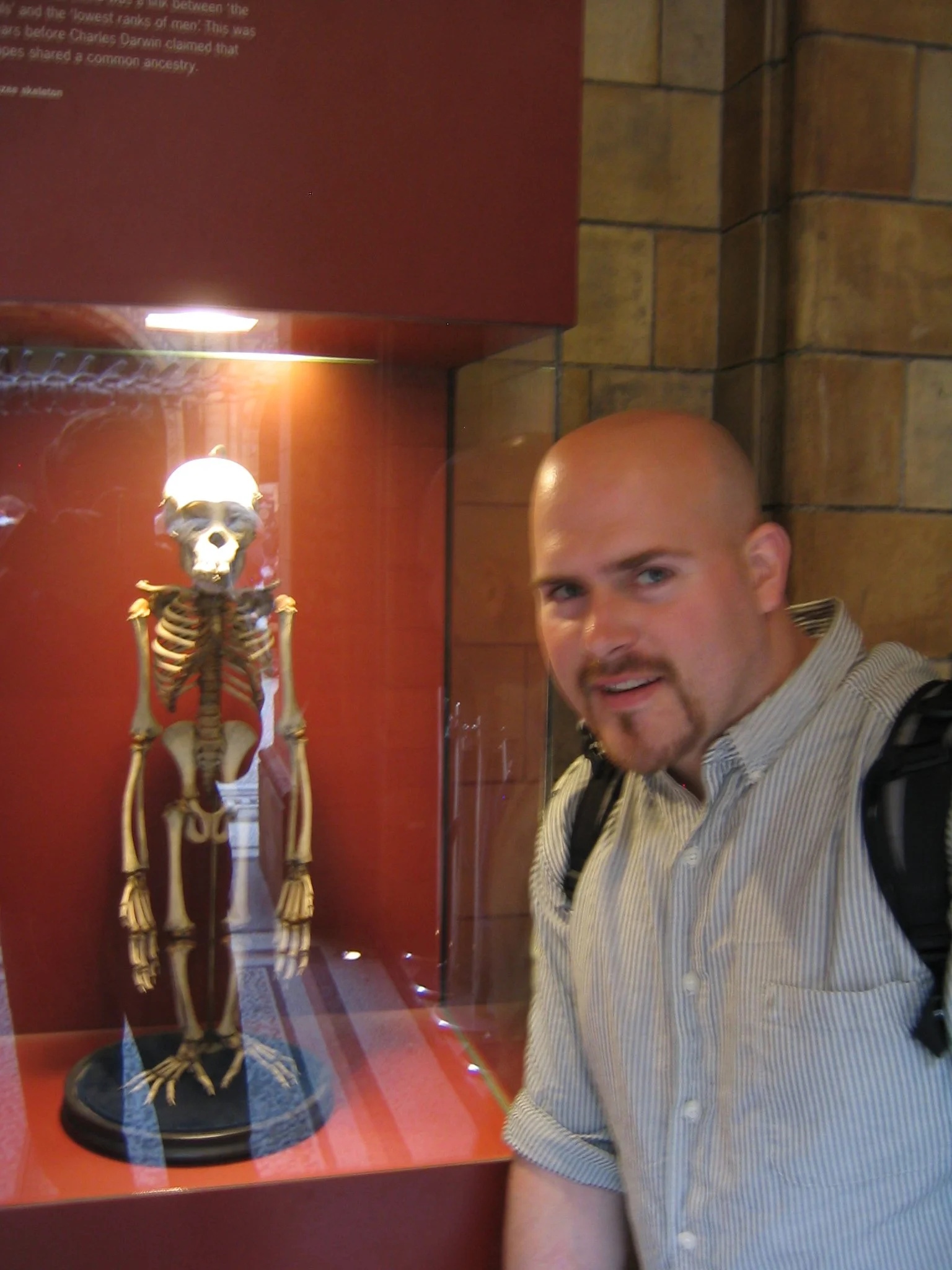 15 British Nat Hist IMG_3351.JPG