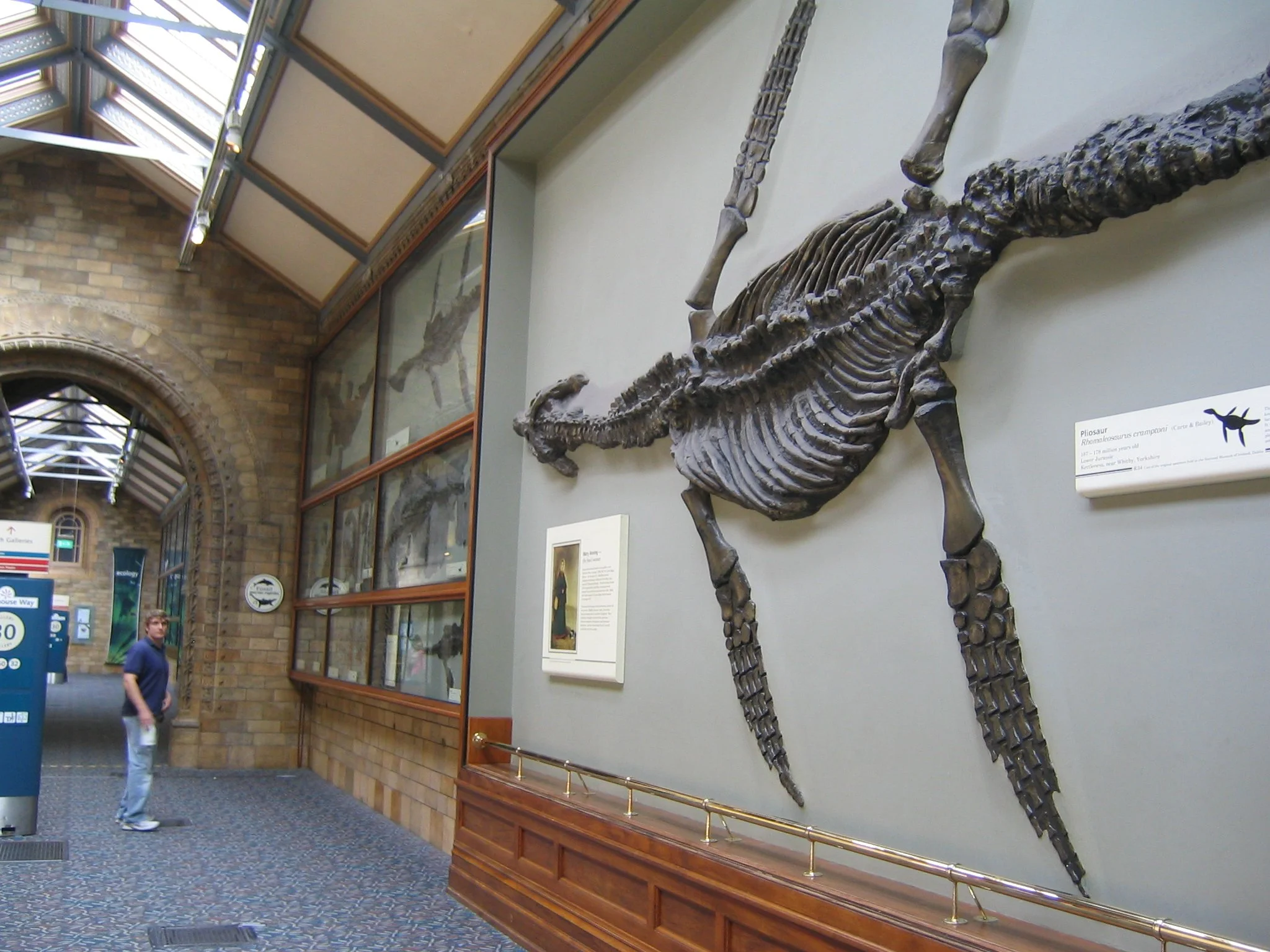 15 British Nat Hist IMG_3373.JPG
