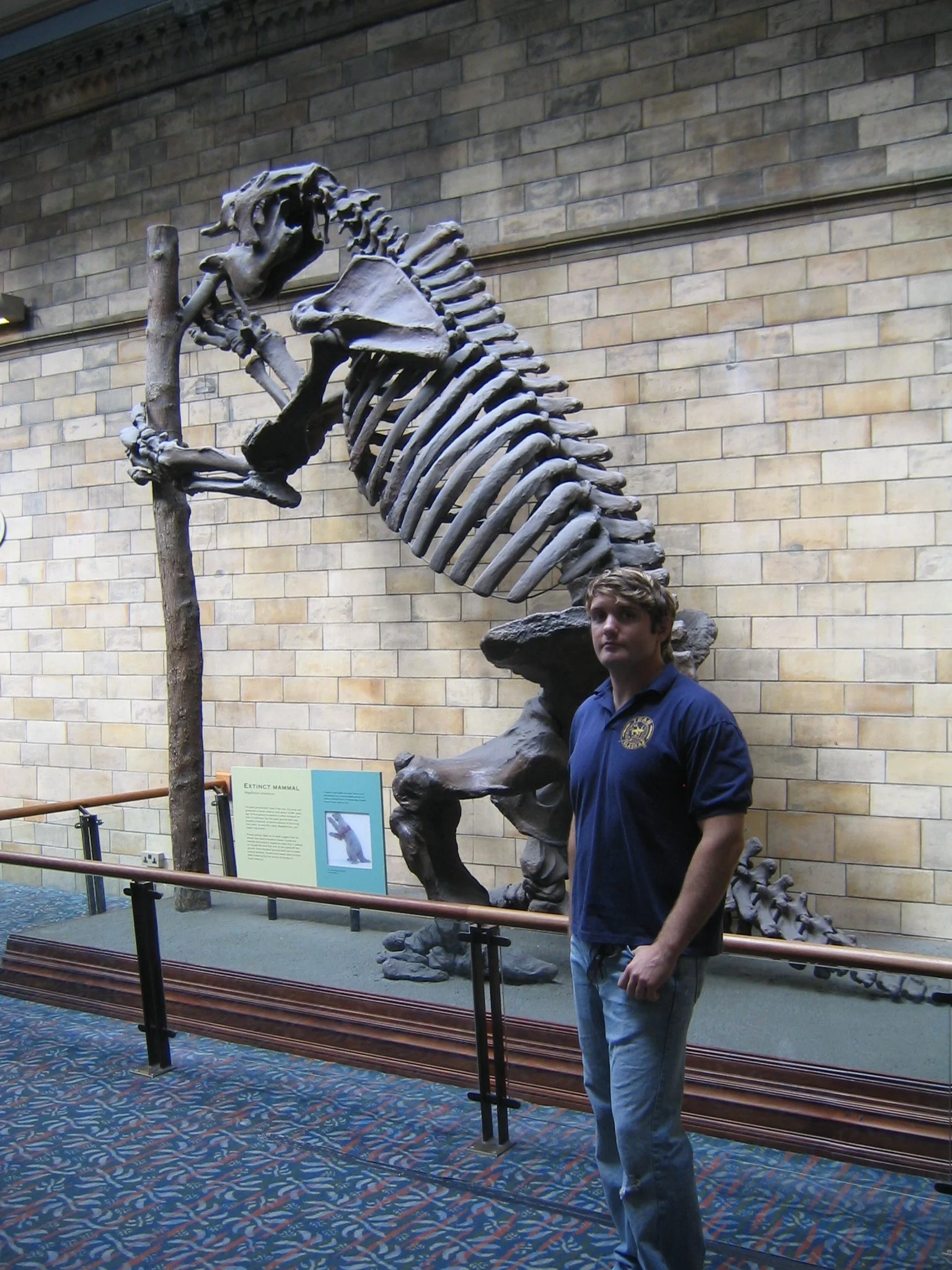 15 British Nat Hist IMG_3371.JPG
