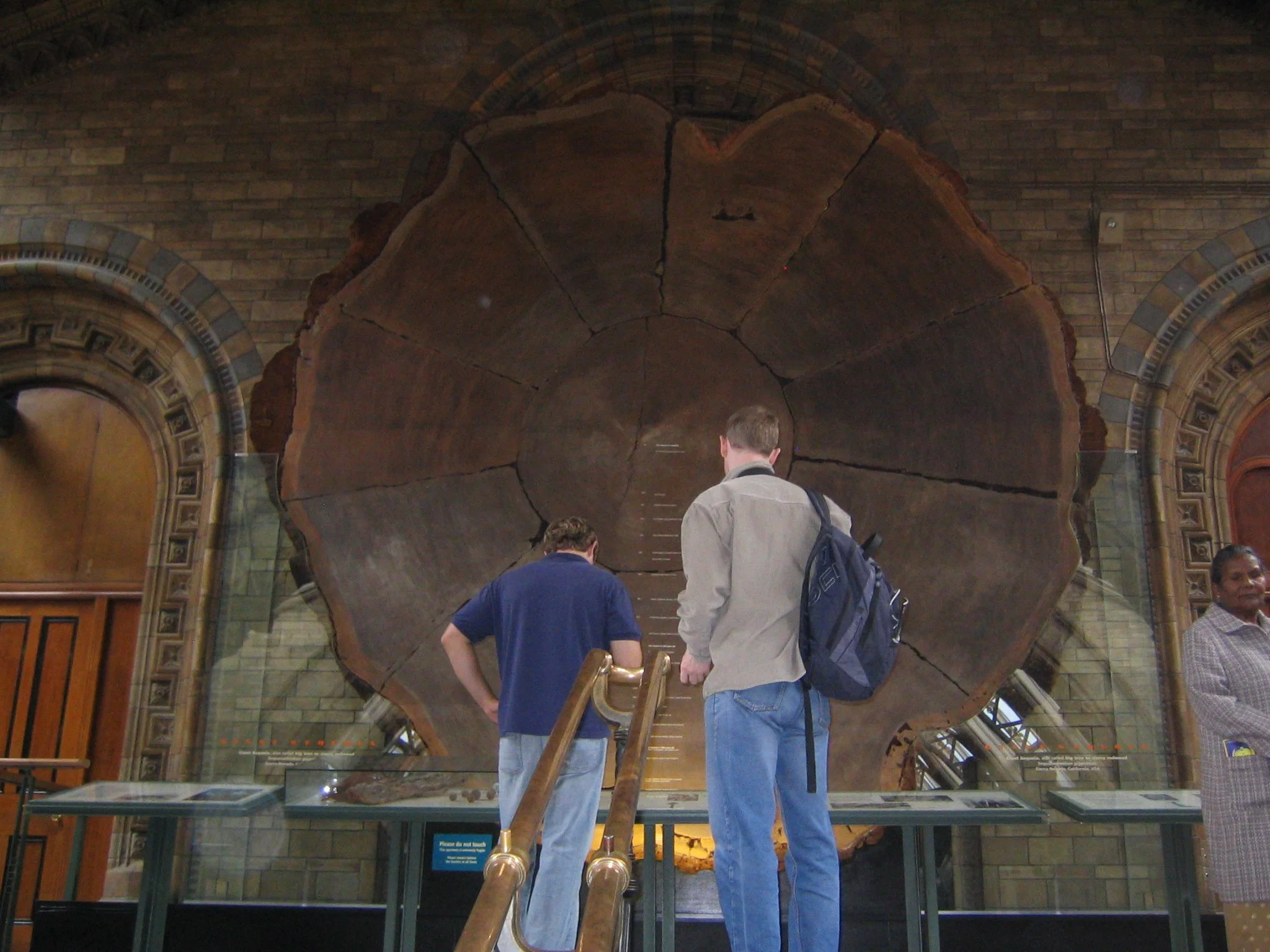 15 British Nat Hist IMG_3389.JPG