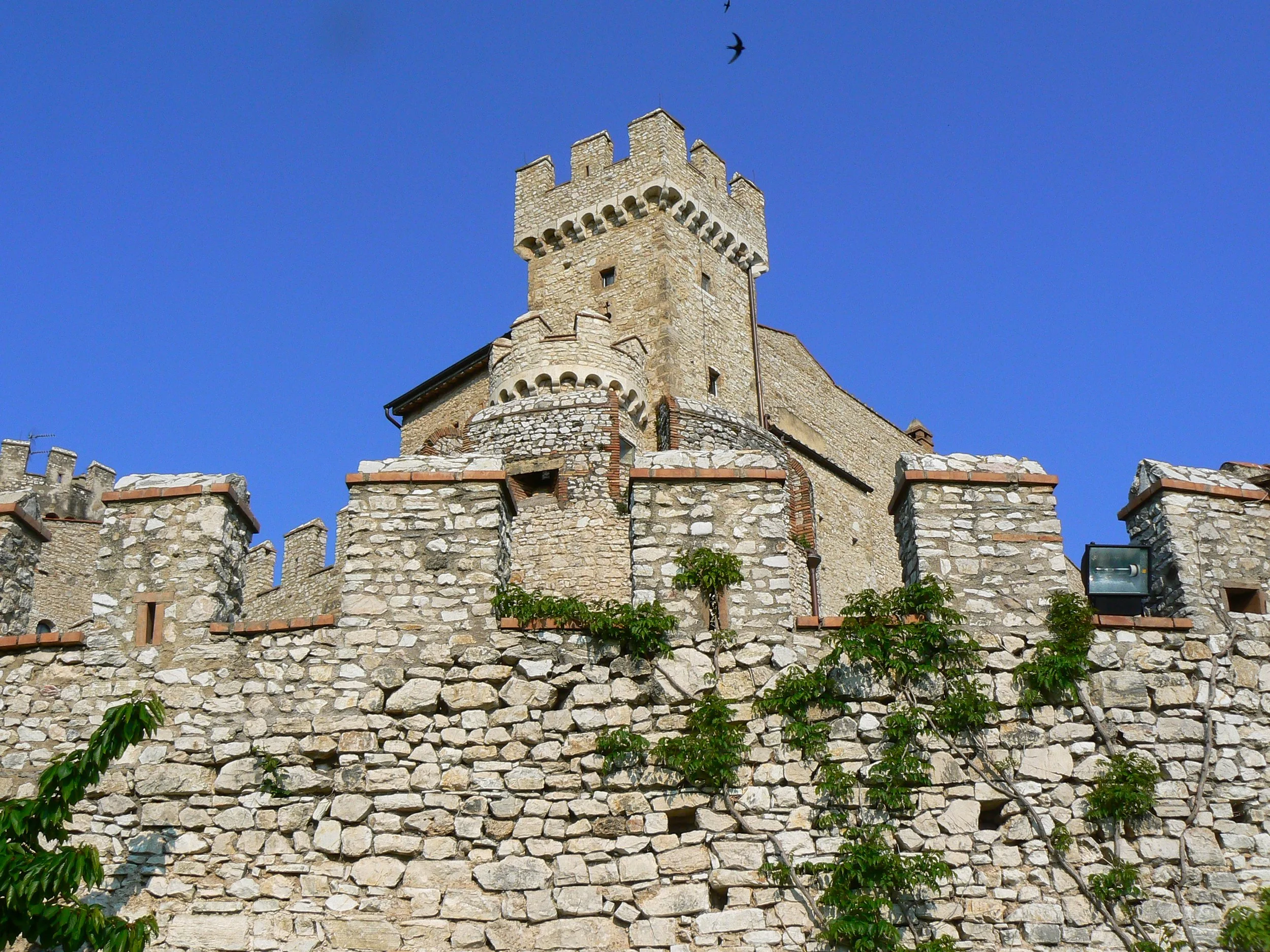 42 Orsini N P1000545.JPG