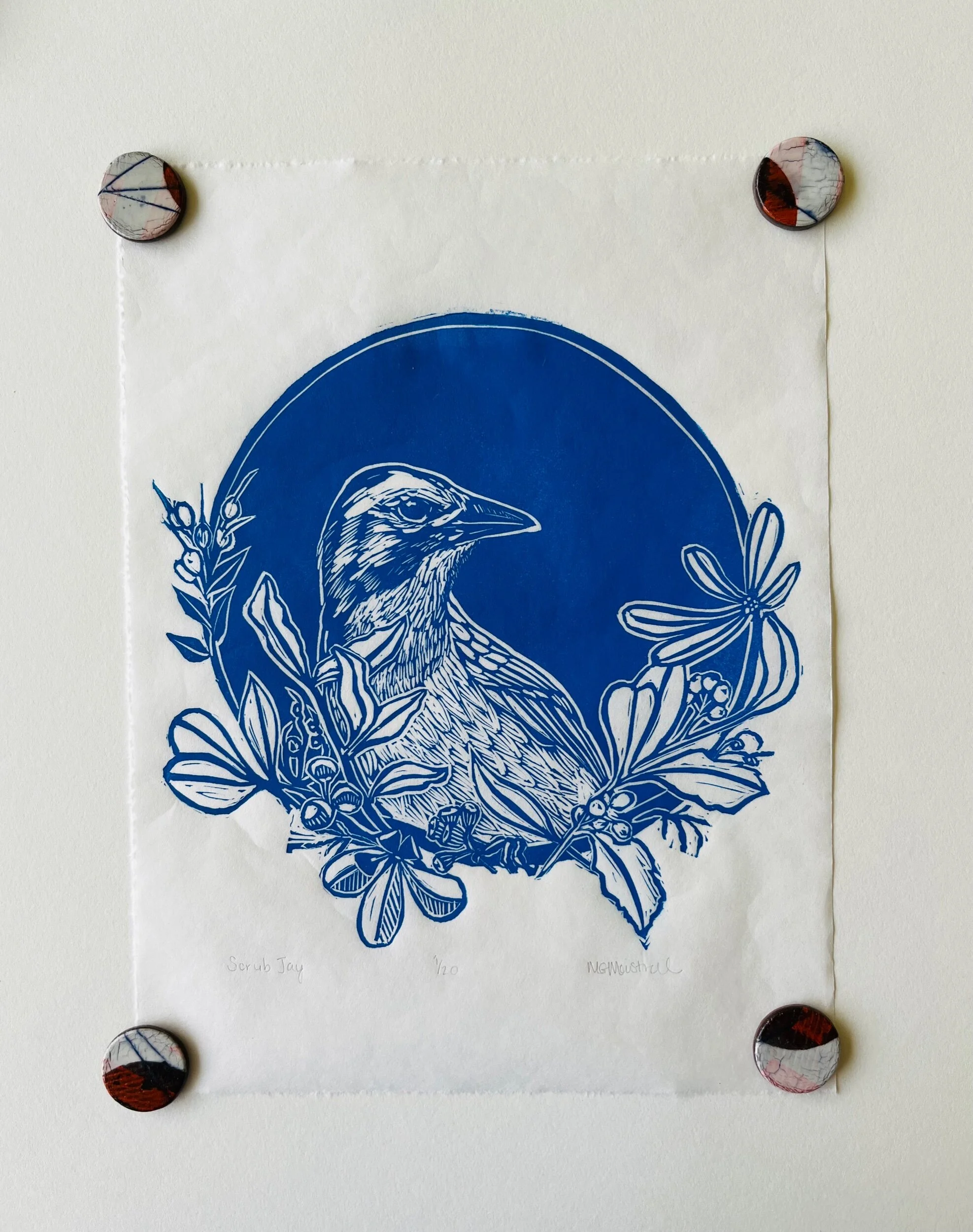 2FFEC472-28E1-4810-91E3-E42E04312829