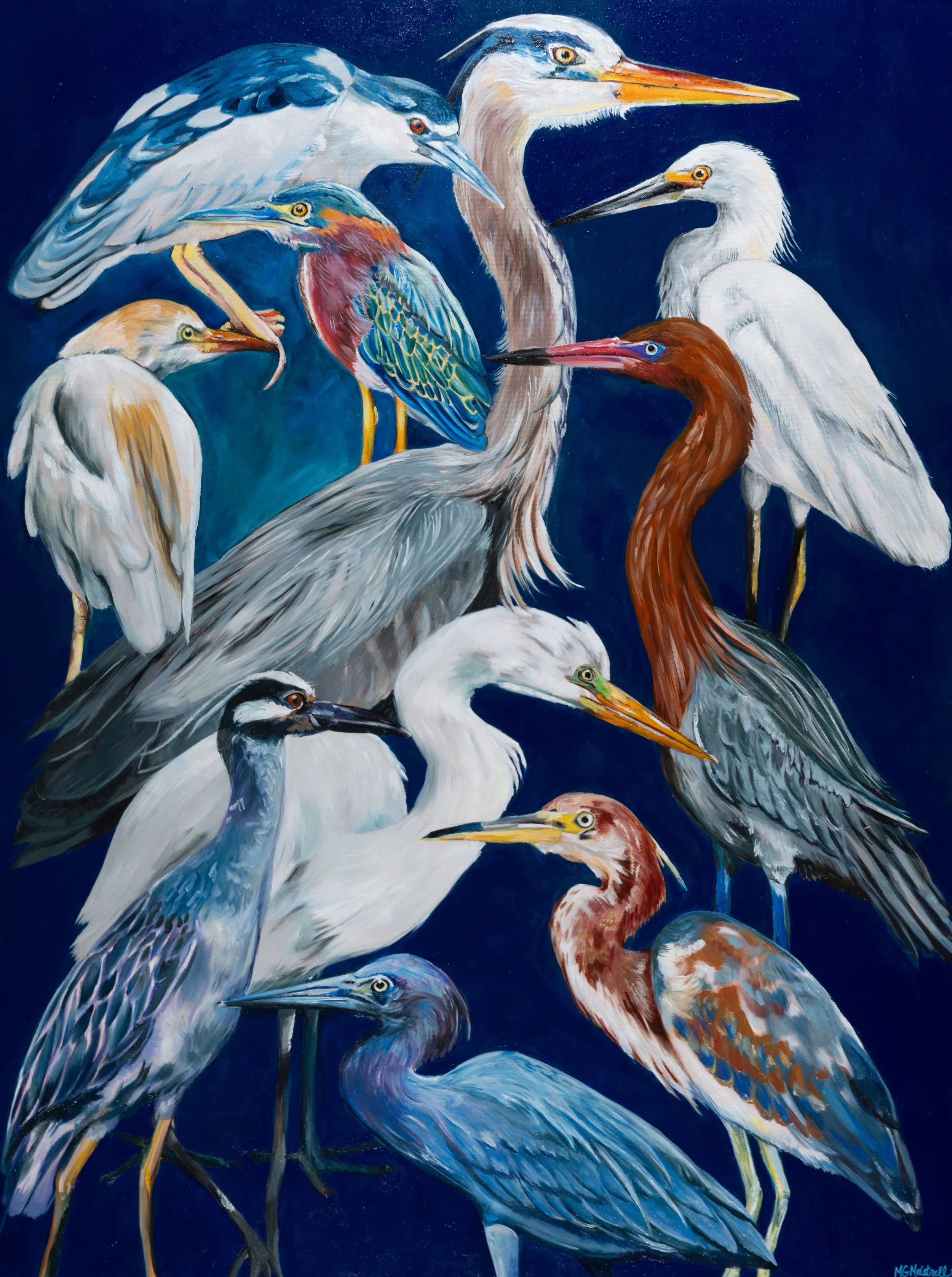 All the herons.jpg