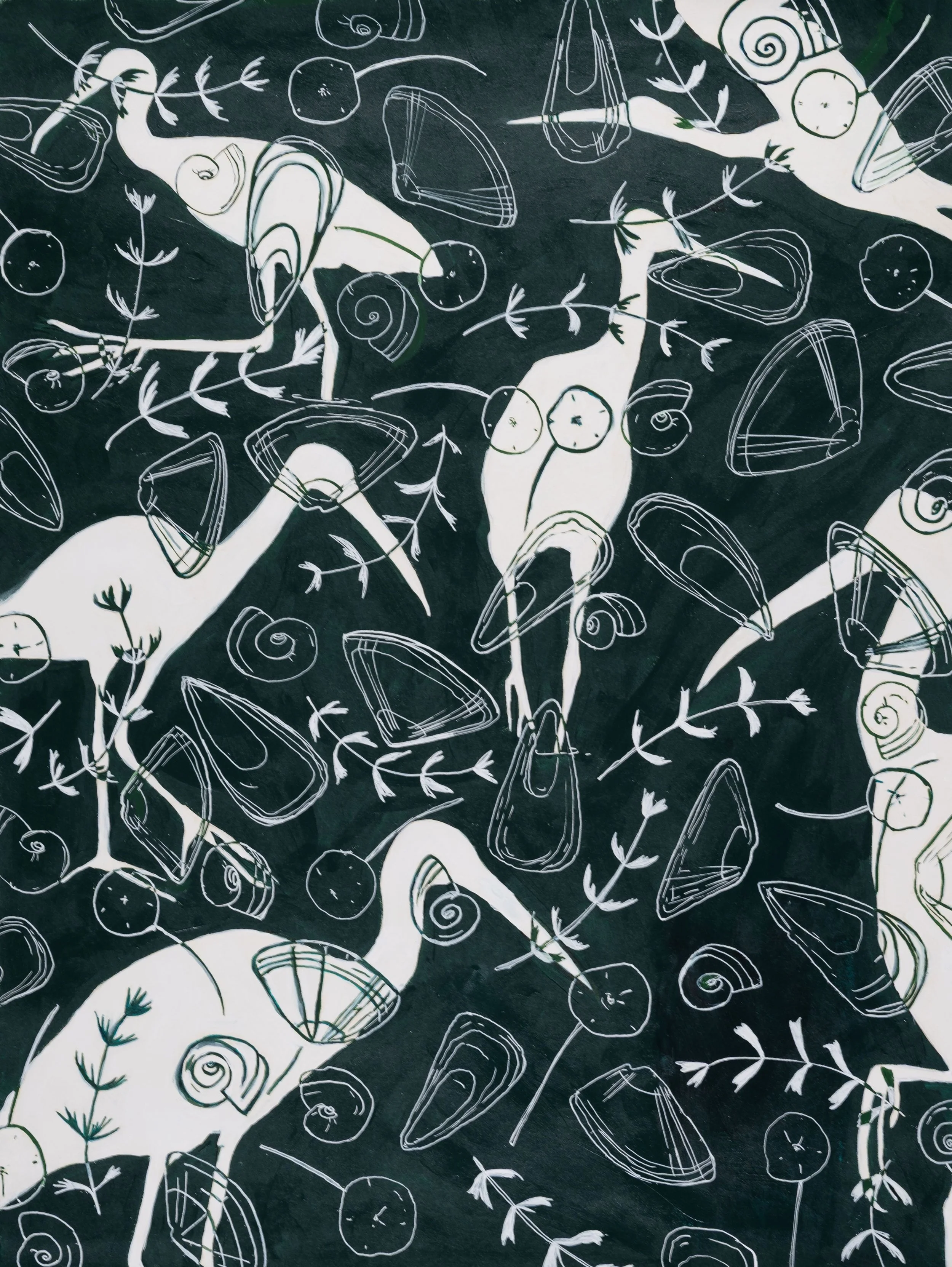 Limpkins and Mollusks 2.jpg