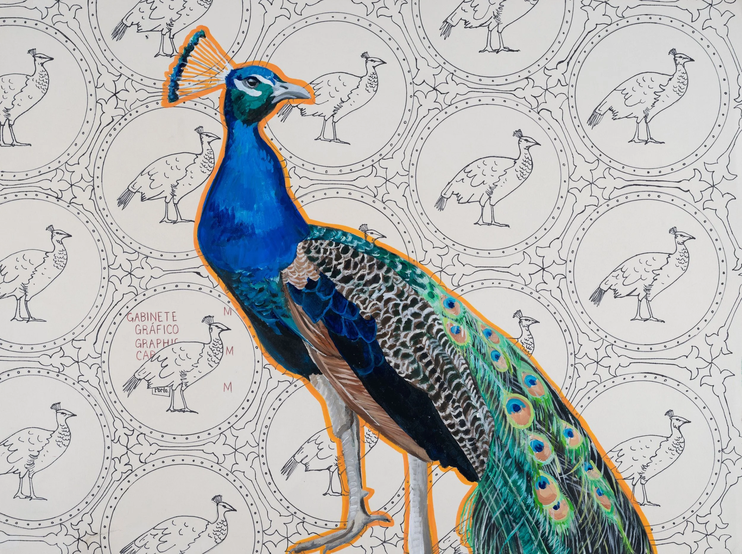 Peacock and Peahens.jpg