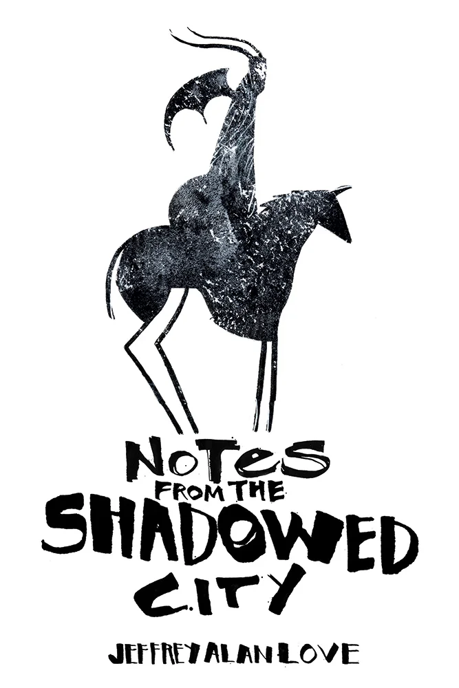 Notes-from-the-shadowed-city-web.jpg