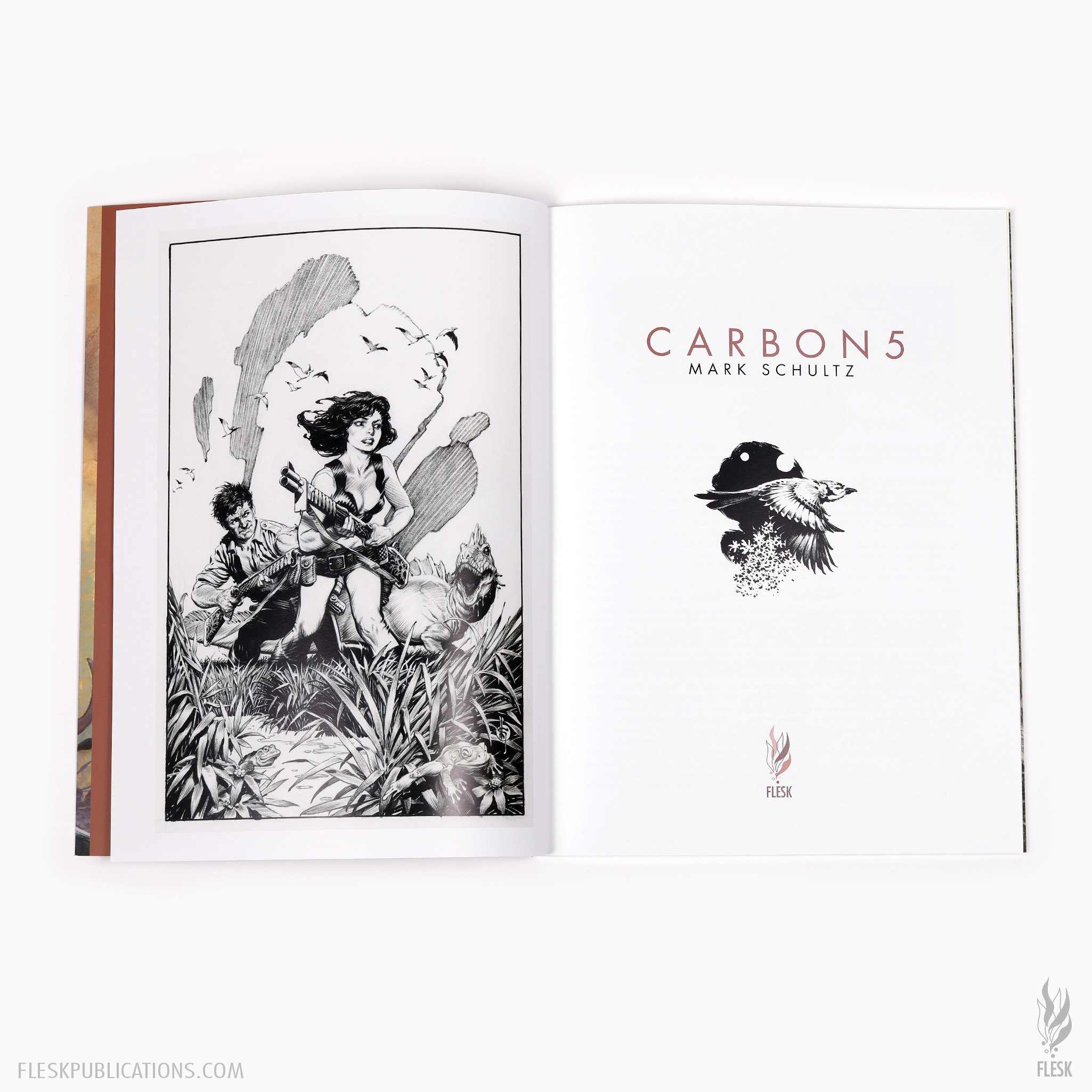 Drawings By Rashultz Portfolio: The Complete Various Drawings by Mark Schultz. Hardcover ...