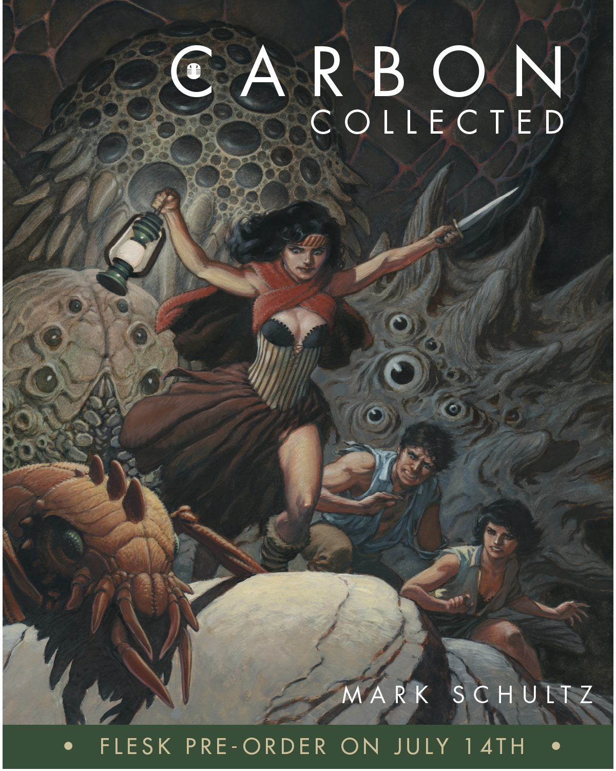 Flesksite-carousel-Carbon-collected.png