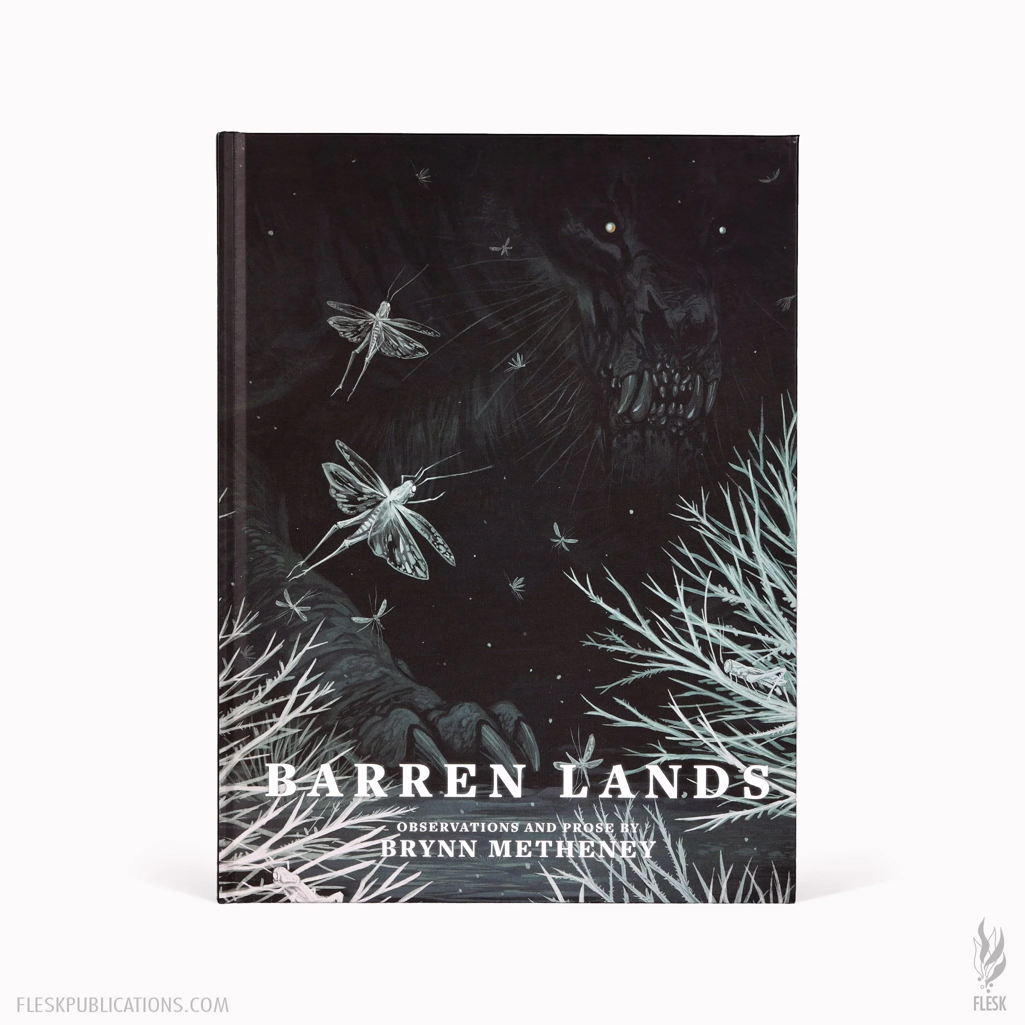 Brynn-Metheney-Barren-Lands-HC-2.jpg