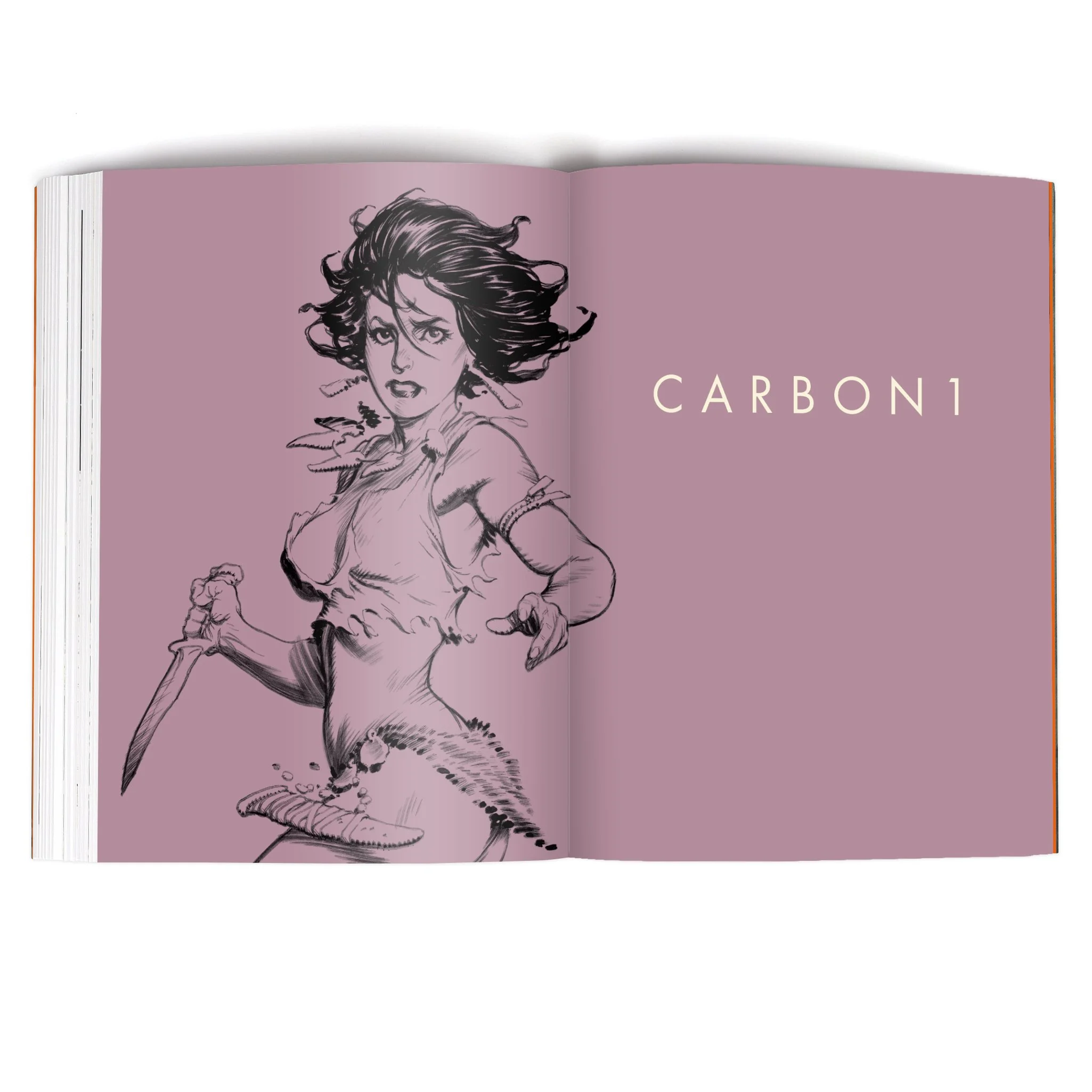 Carbon-Collected-PB-interiors-1.jpg