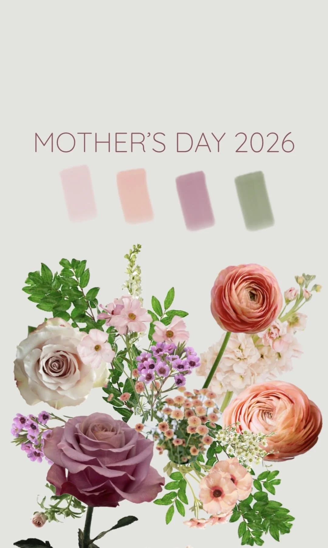 MD color pallete FINAL.jpg