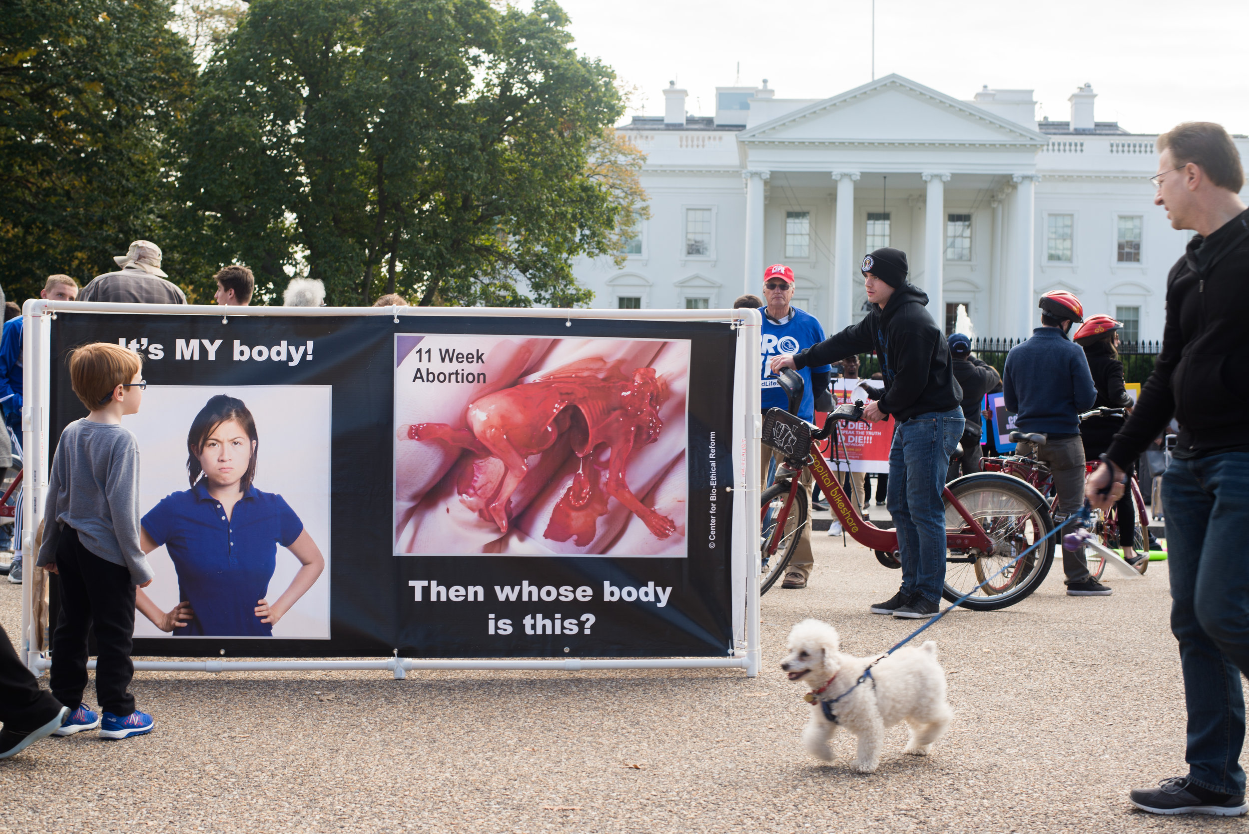 Untitled (from series, Sixteen Images of a white house)