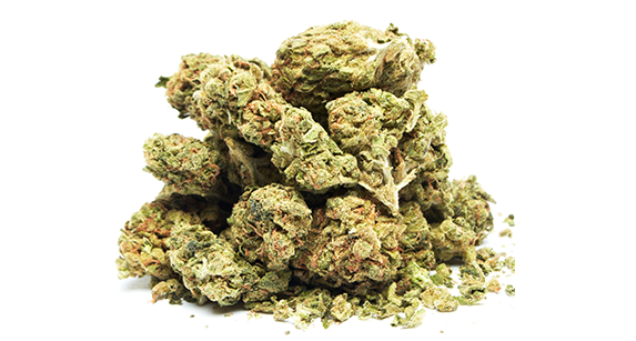 DRY HERBS