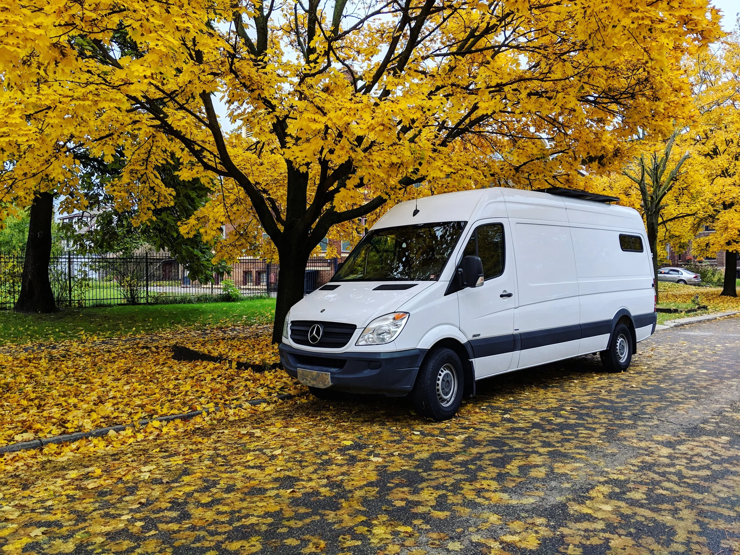 IMG_20181102_201740_250 (1).jpg