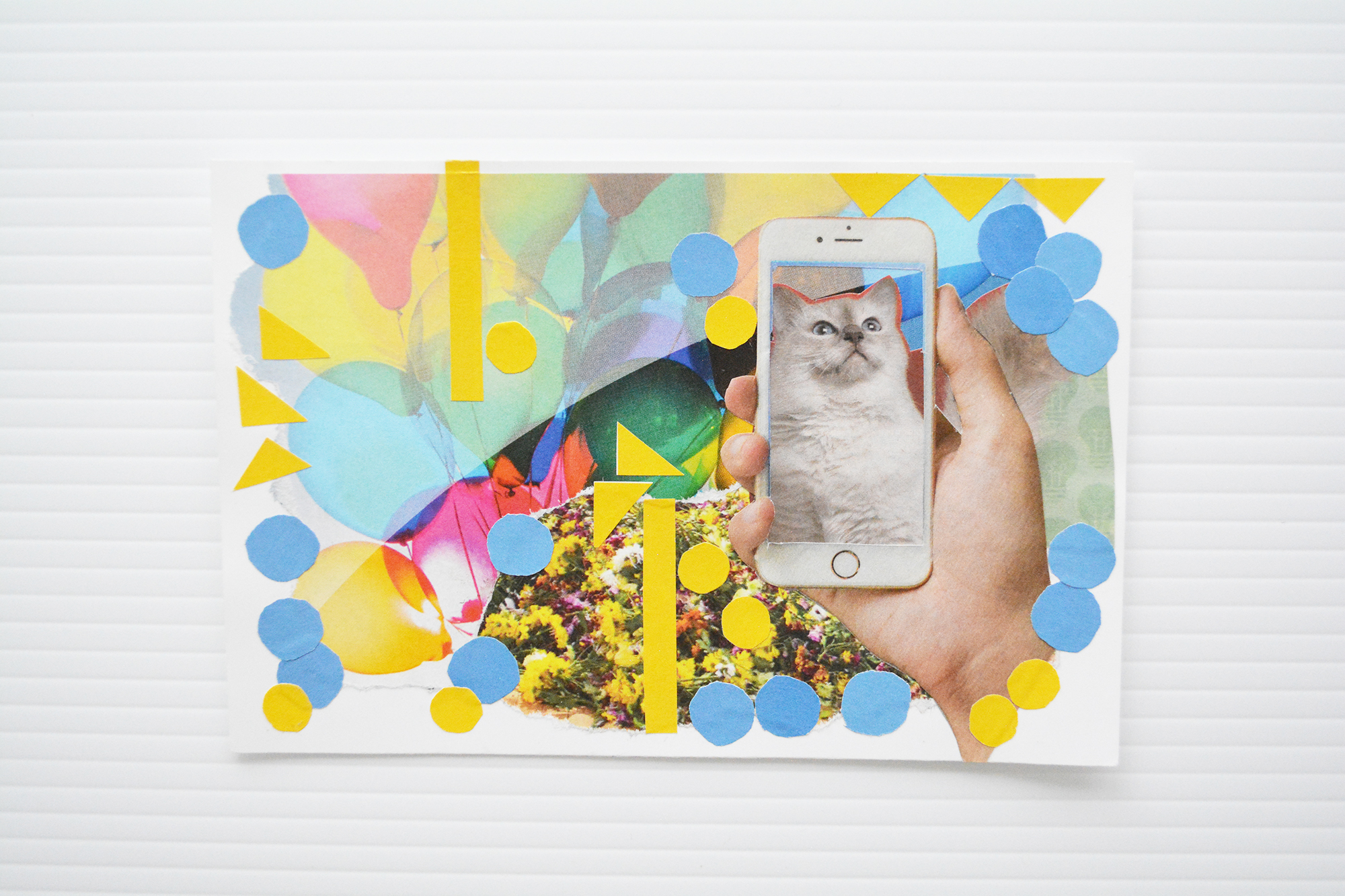 CollagePostcard RagdollOnPhone A).jpg