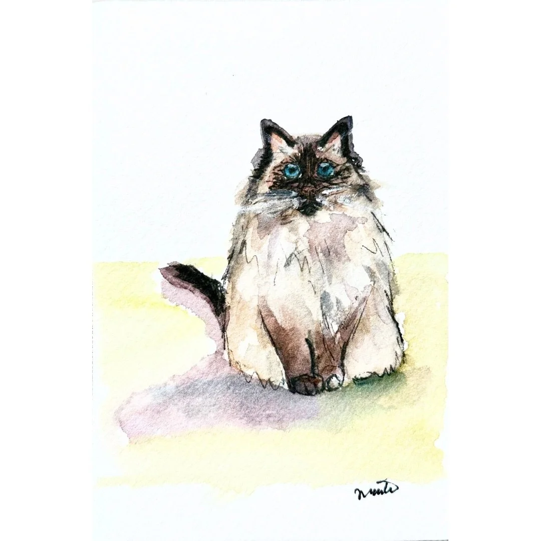 2024-10-25 16.48.59.jpg