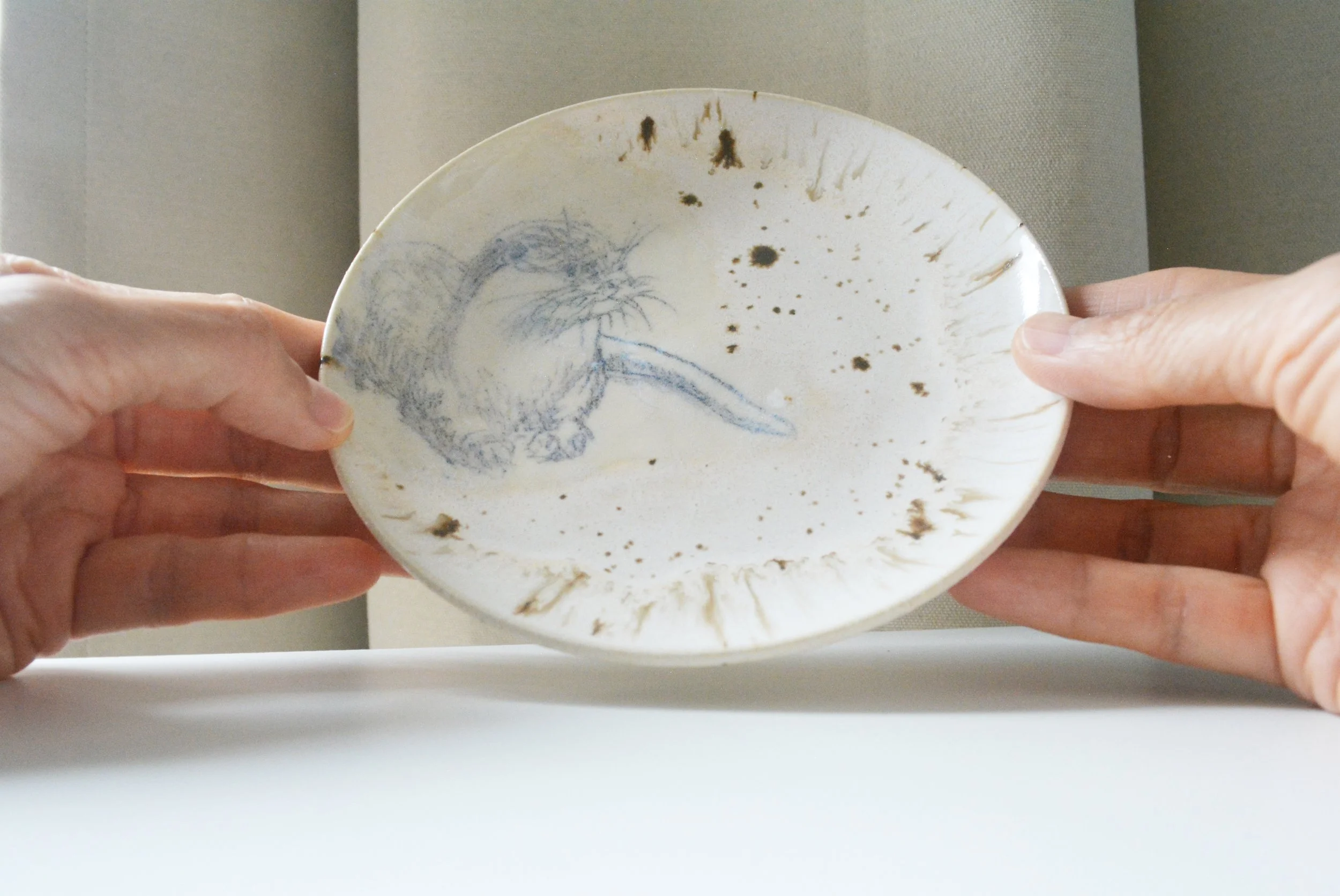 Plate Little Otter (9).JPG