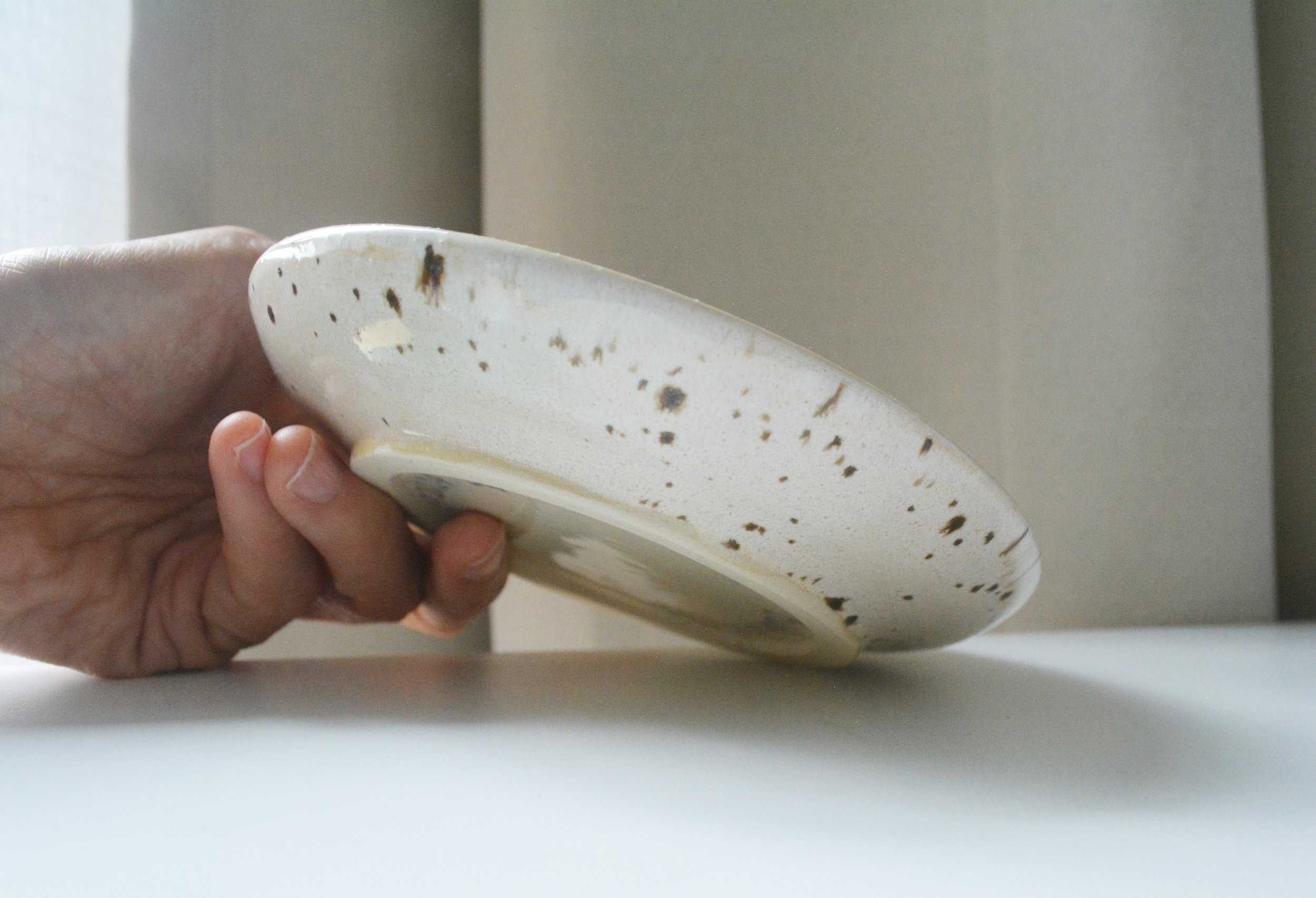 Plate Little Otter (10).JPG