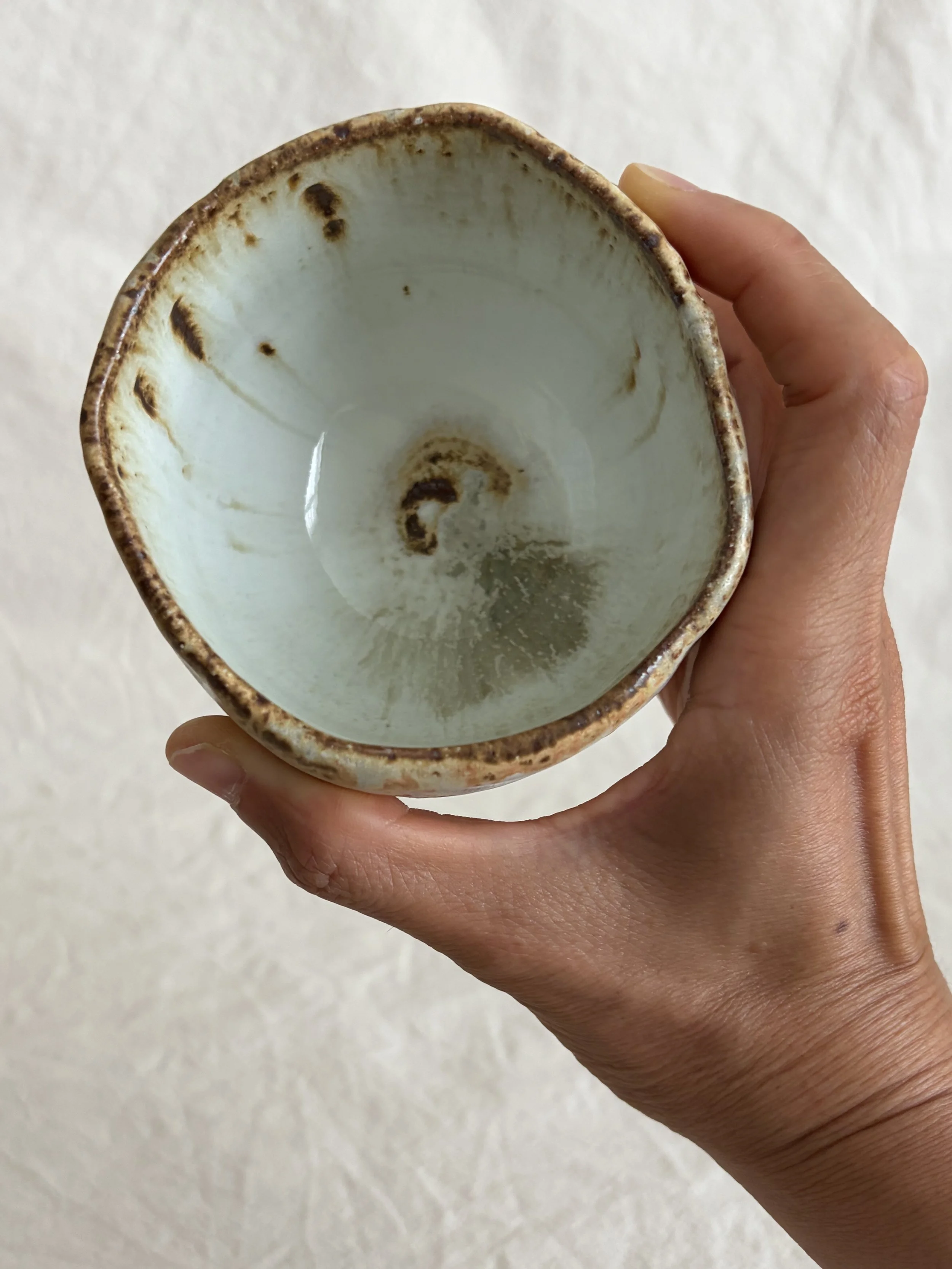 2026-01-02 14.21.43.jpg