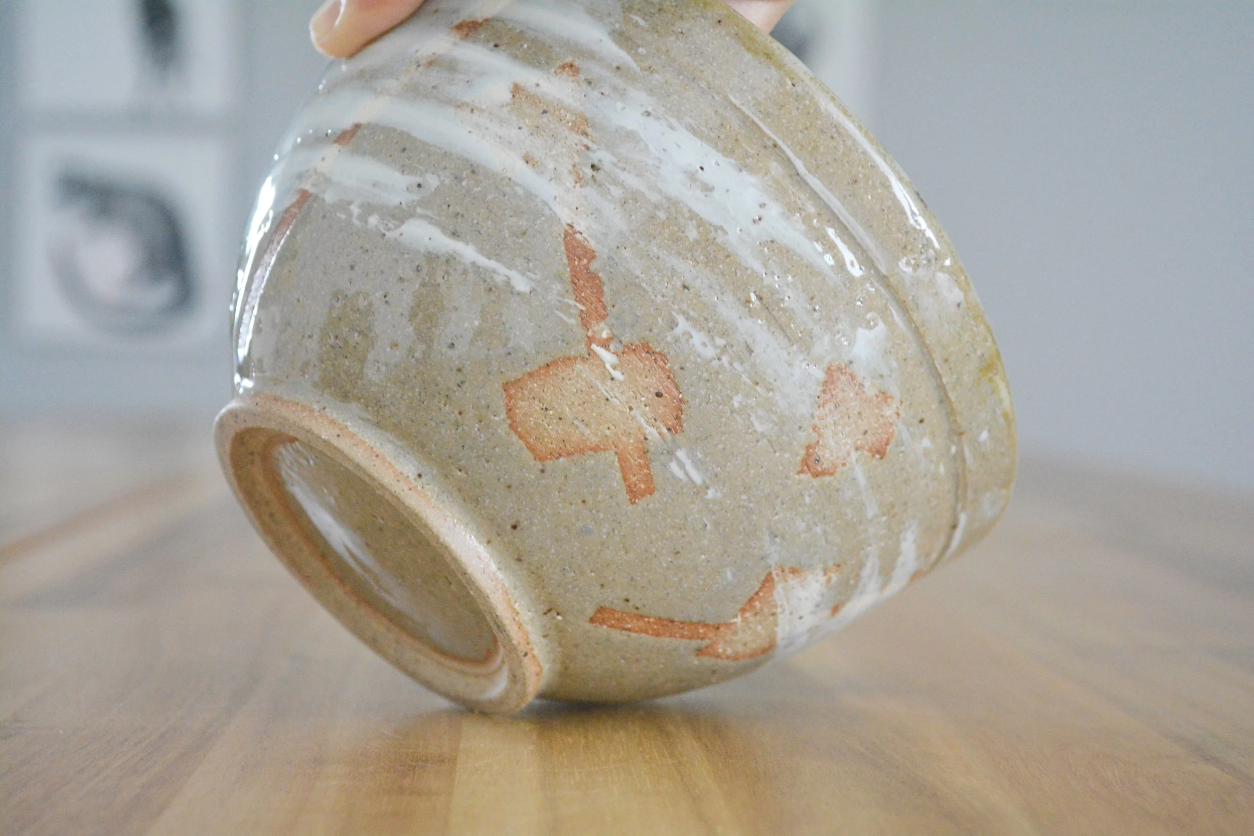 Mia Whisking Her Tail (9).JPG