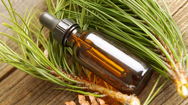 greencleaningpine.jpg