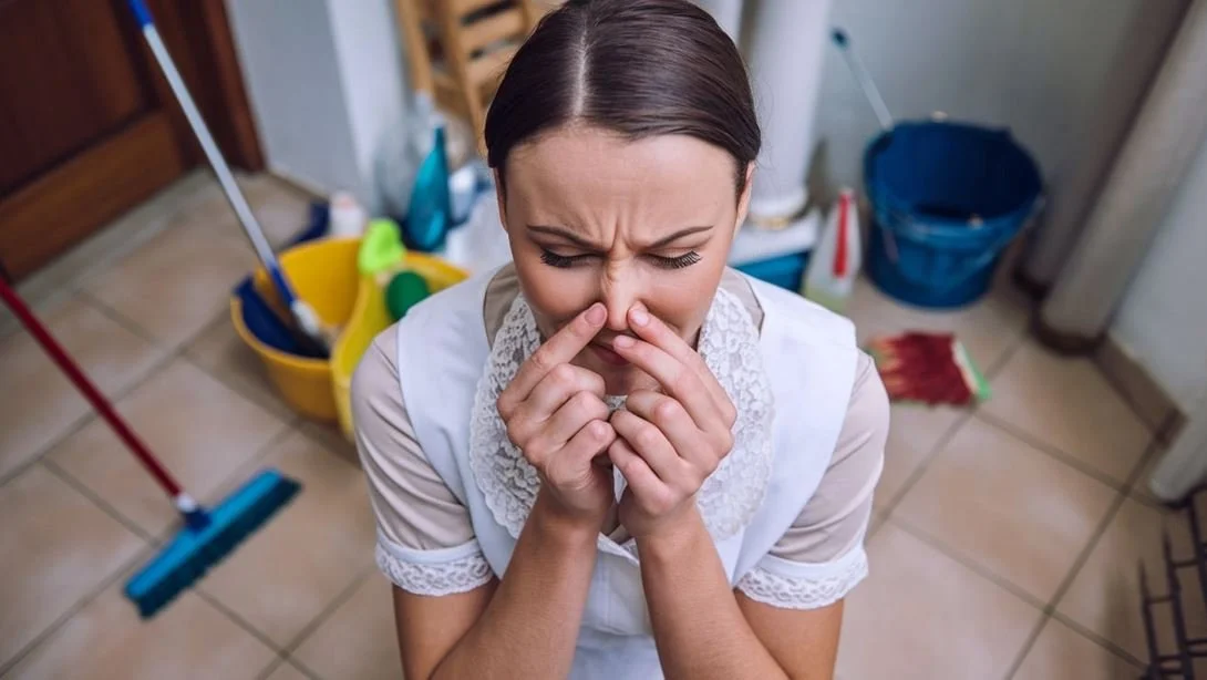 House Smells Like Cabbage (Solved)