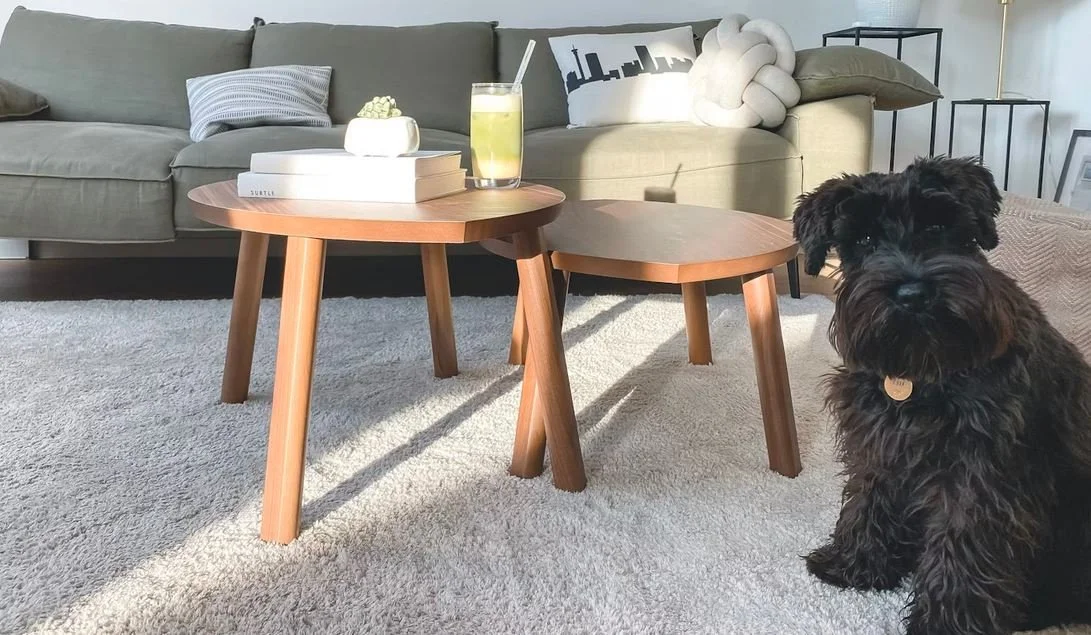 Can You Use Comet On Carpets? (Solved)