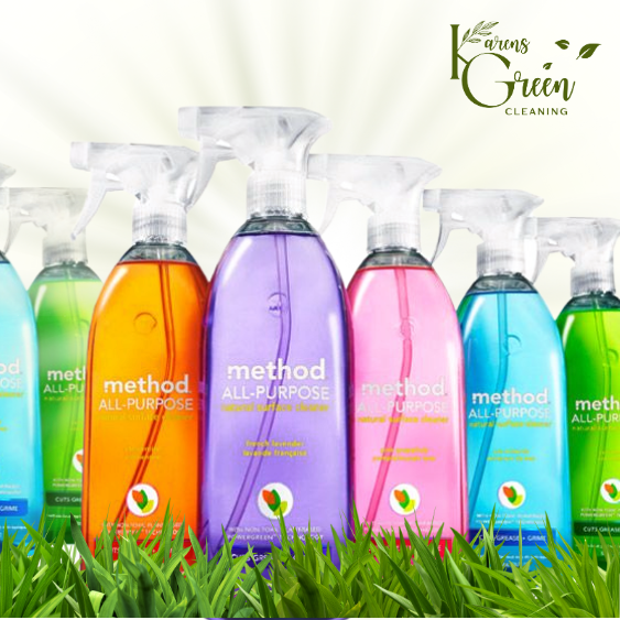 1 House Cleaning Services Minneapolis MN Best Maid Service