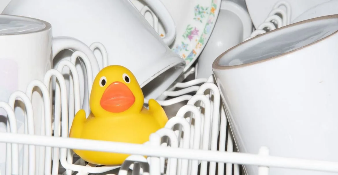 Dishwasher Not Cleaning Bottom Rack (Solved) — Karen’s Green Cleaning