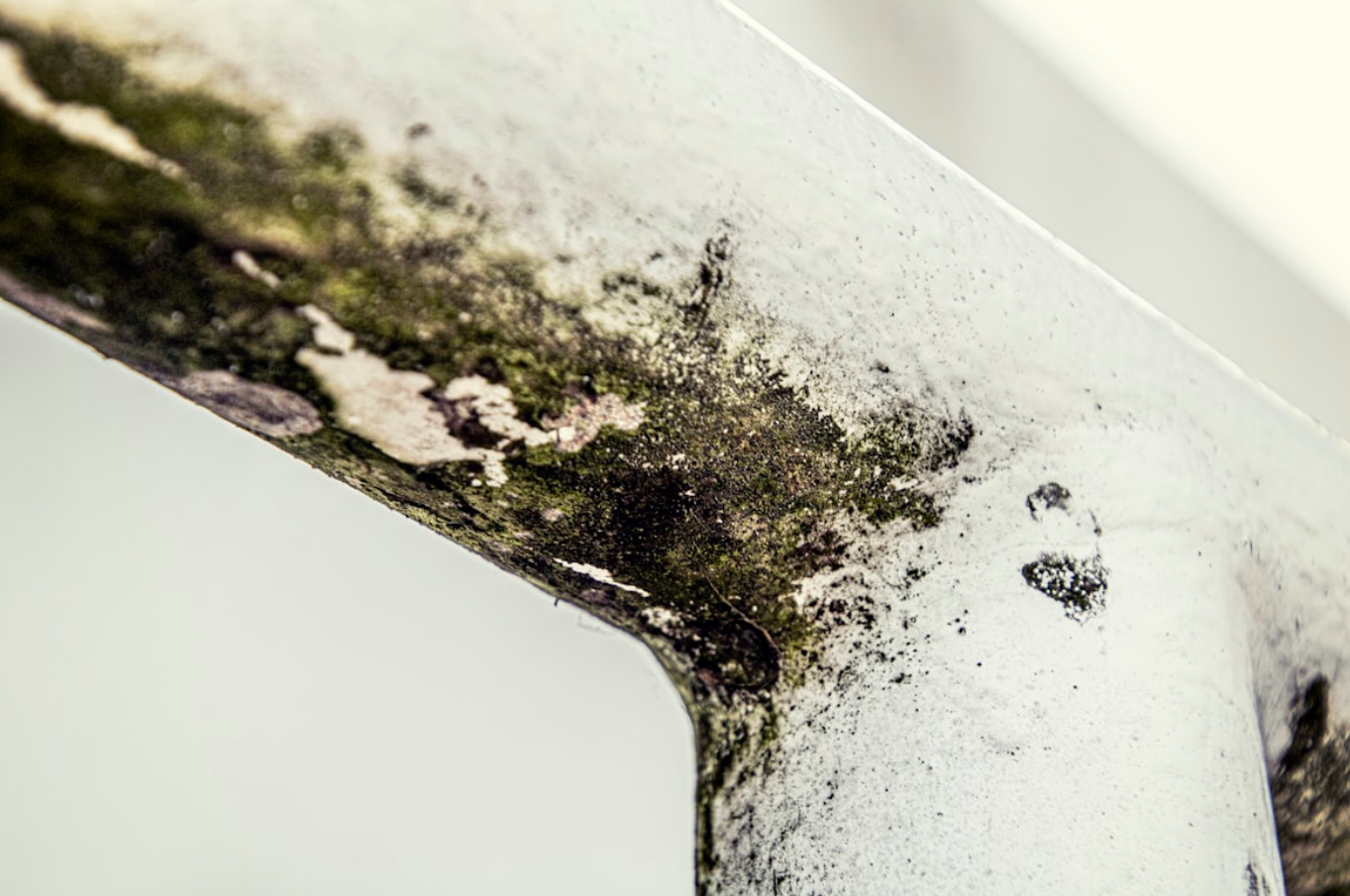 How To Use Pine-Sol To Clean Mold