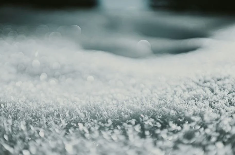 Can You Use Bissell Crosswave On Carpets