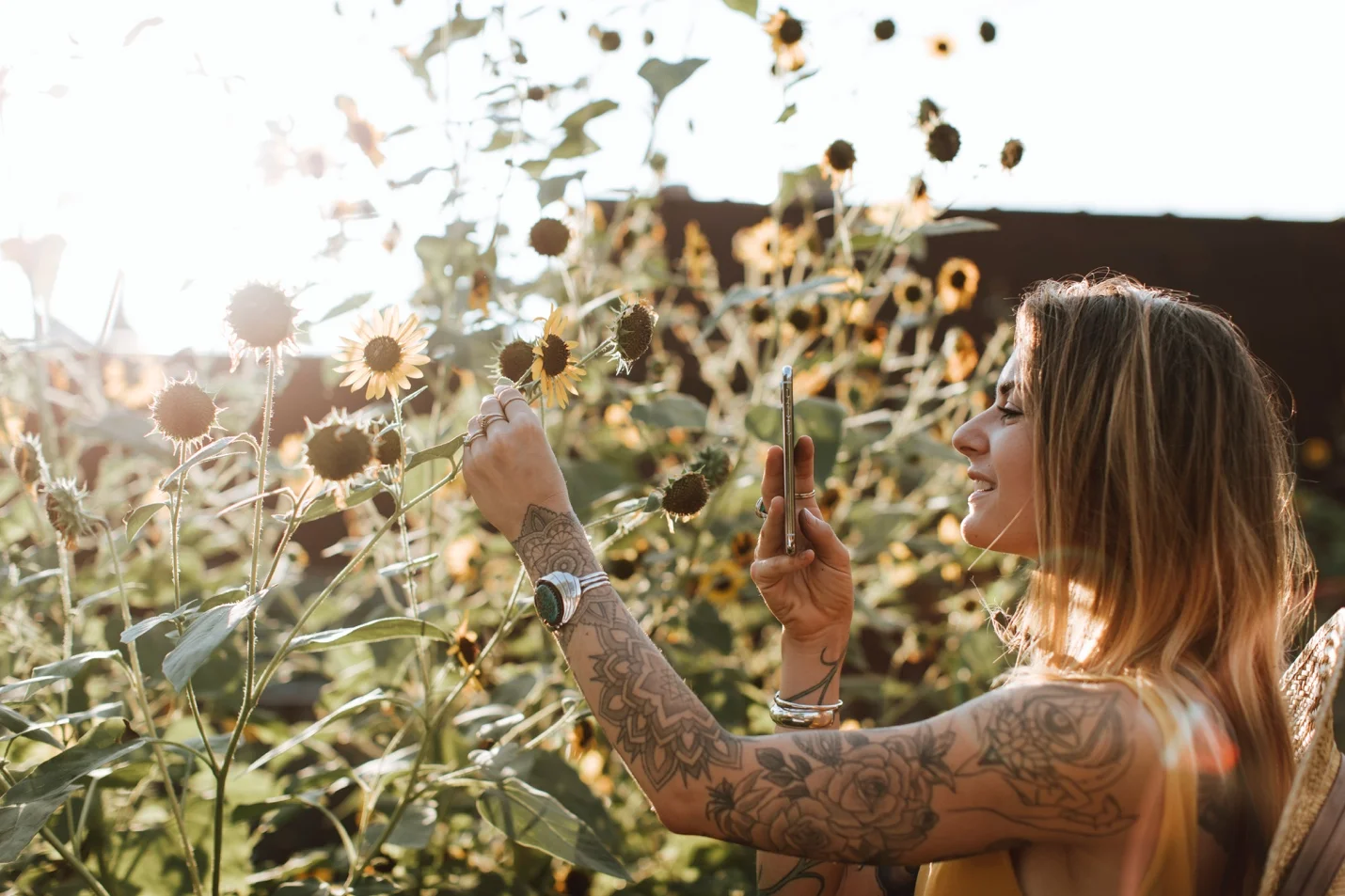millennials and sunflowers.jpg
