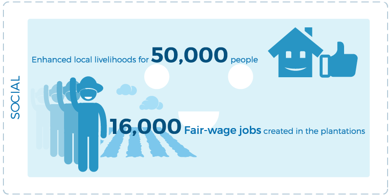TLFF_Infographic_Social (1).png