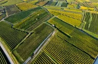 kaeferberg_POV5569-200x130.jpg