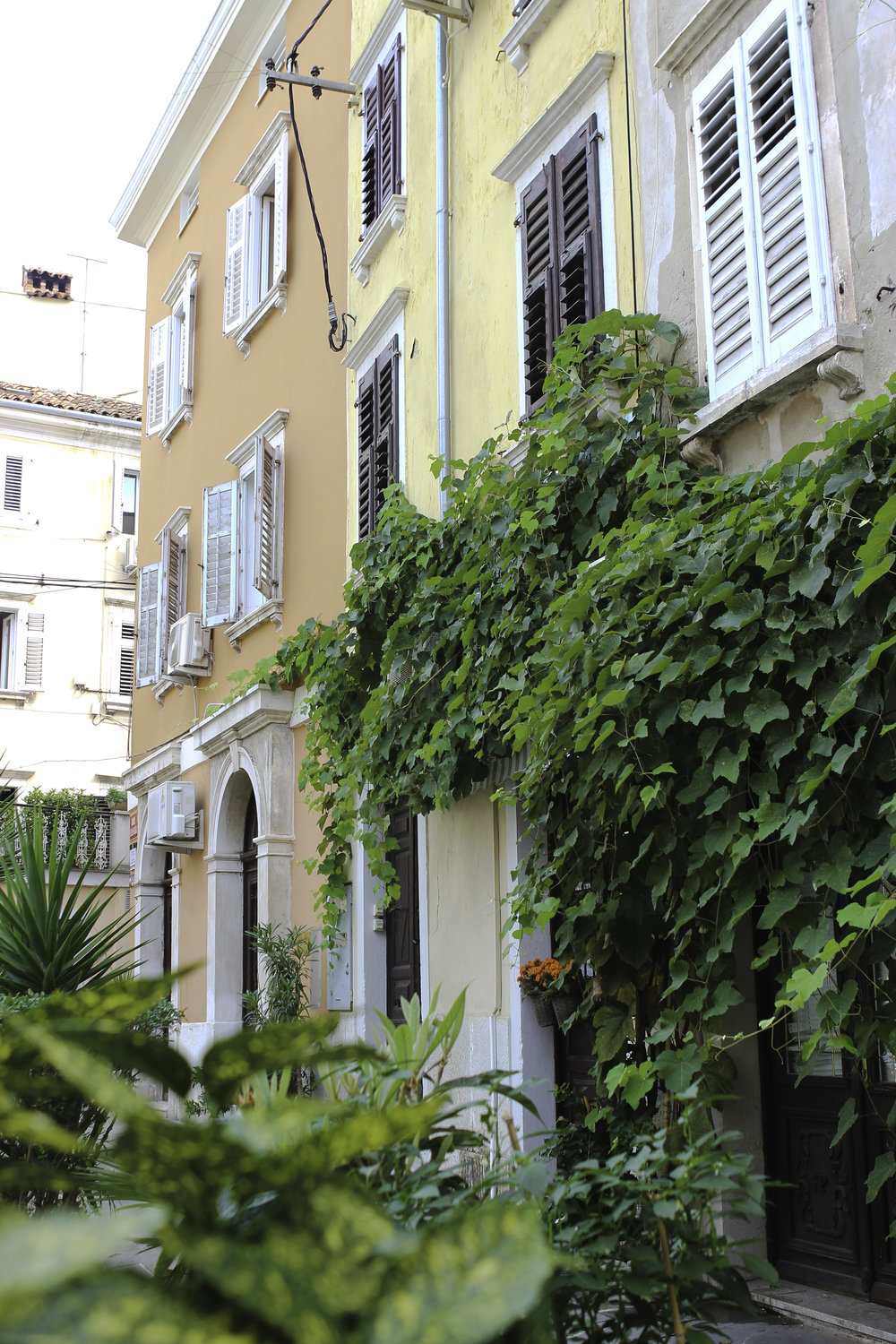 Amidst the narrow streets, lush plants hang from each window and doorway.