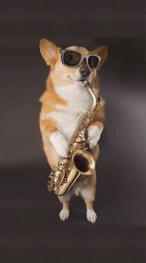saxpup.jpg