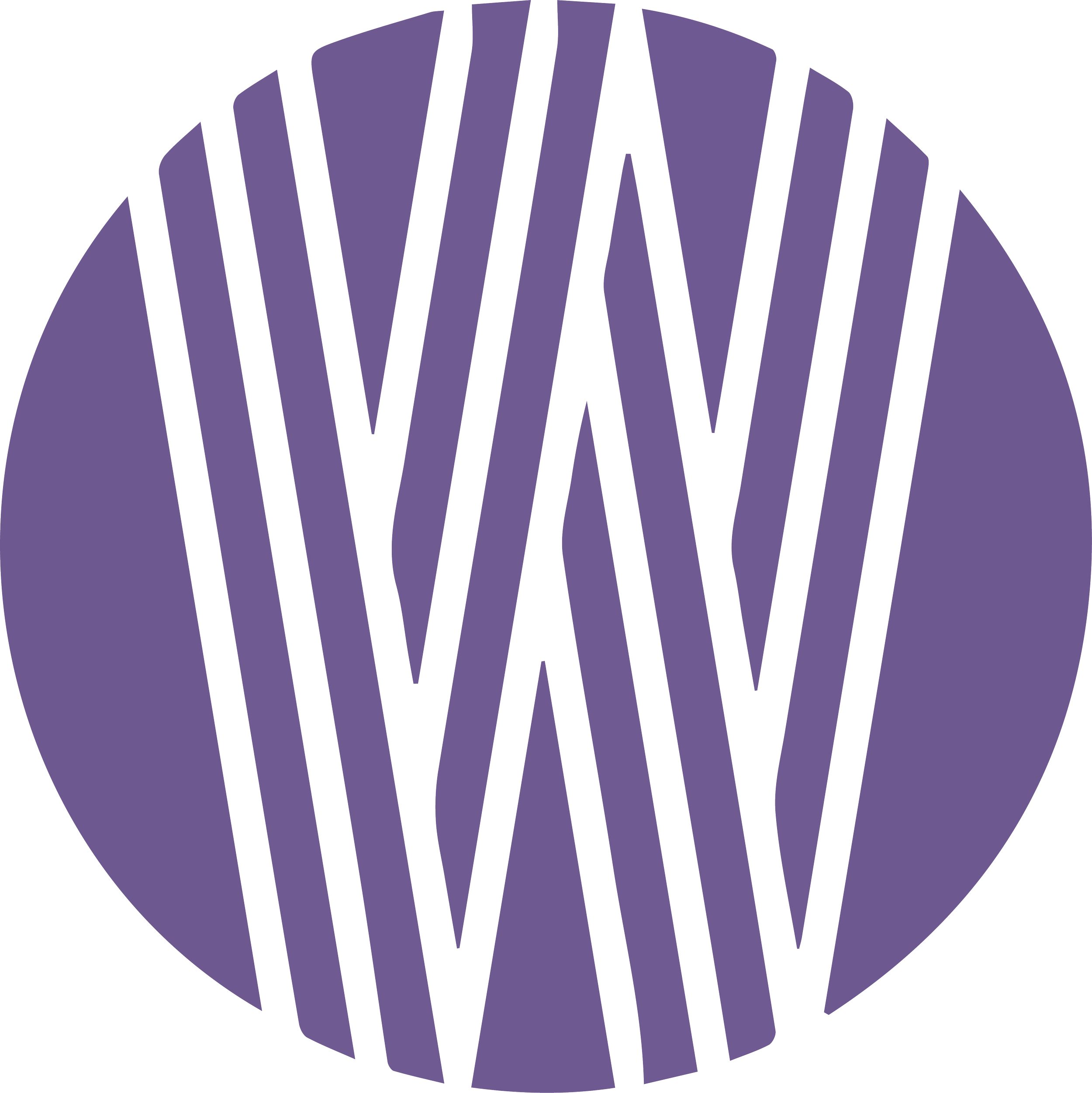 Women In Politics Foundation, Inc.