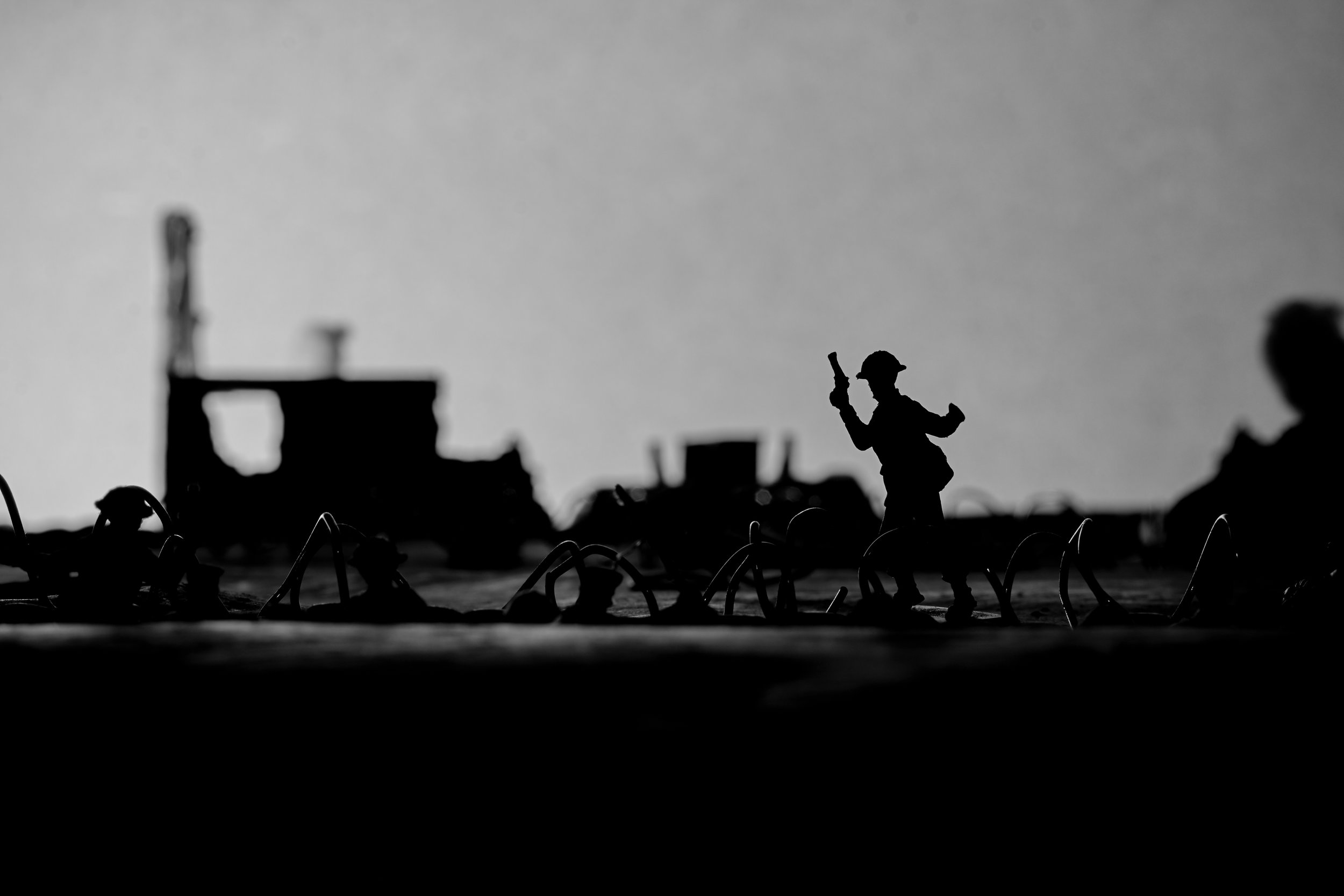 WW1_Portfolio_7.jpg