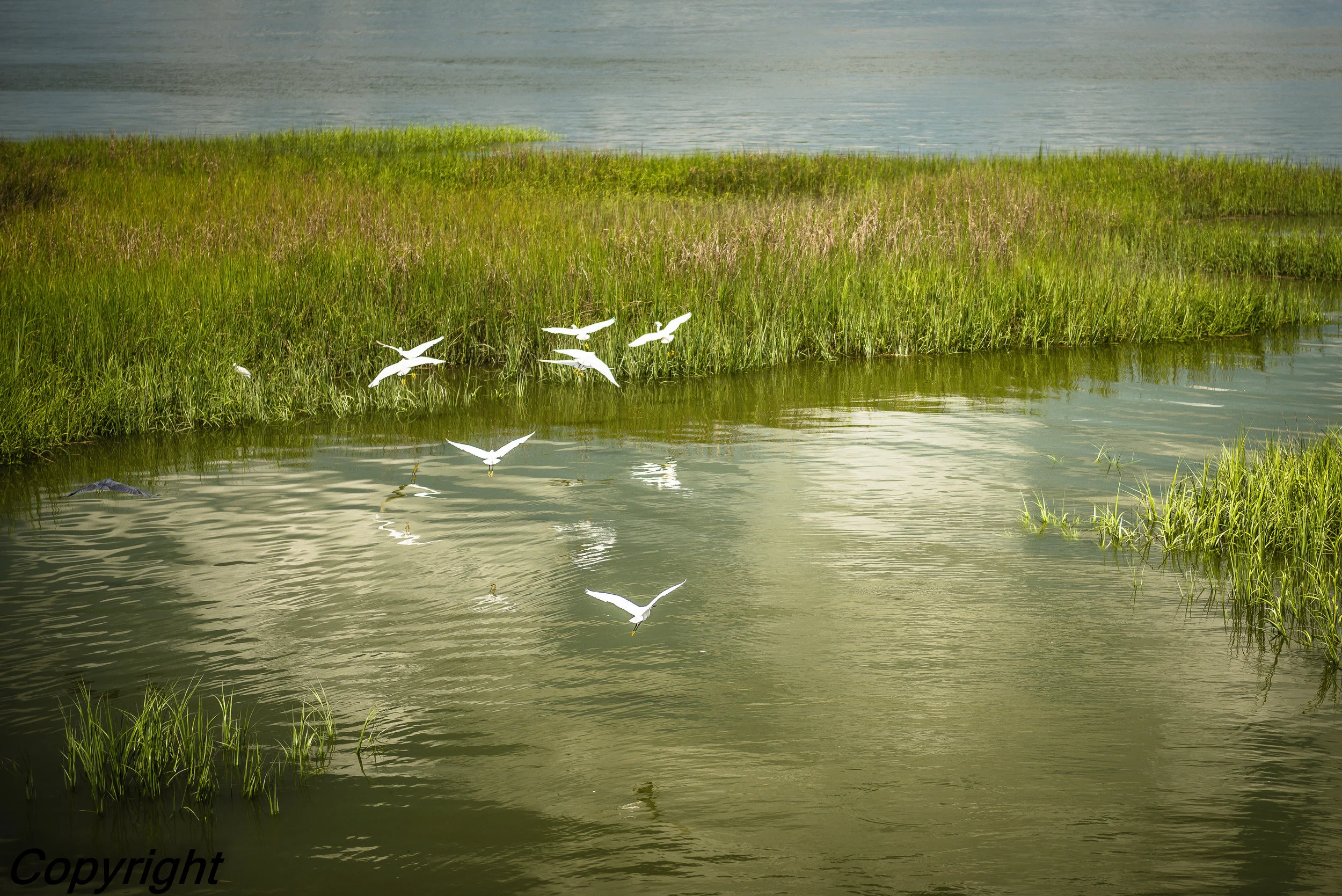  South Carolina Coast 