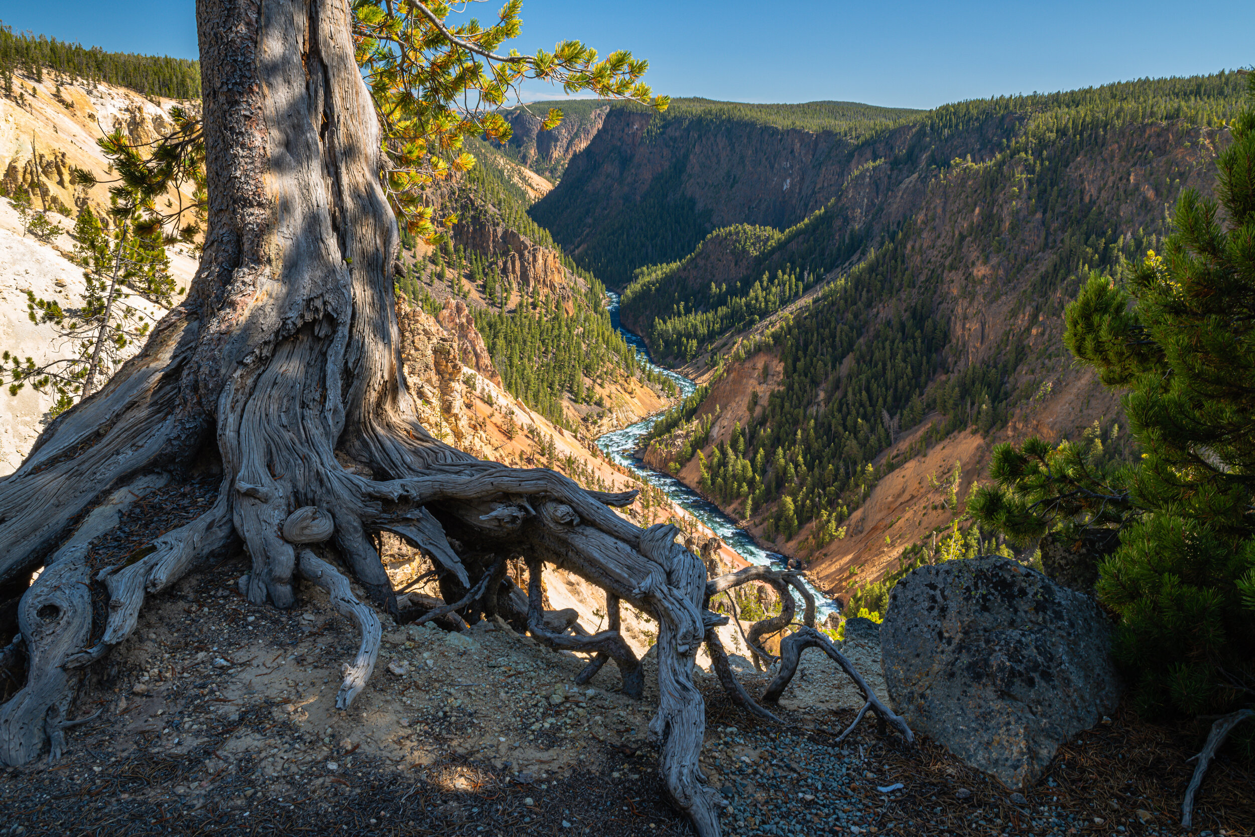  Grand Canyon of the Yellowstone, WY 