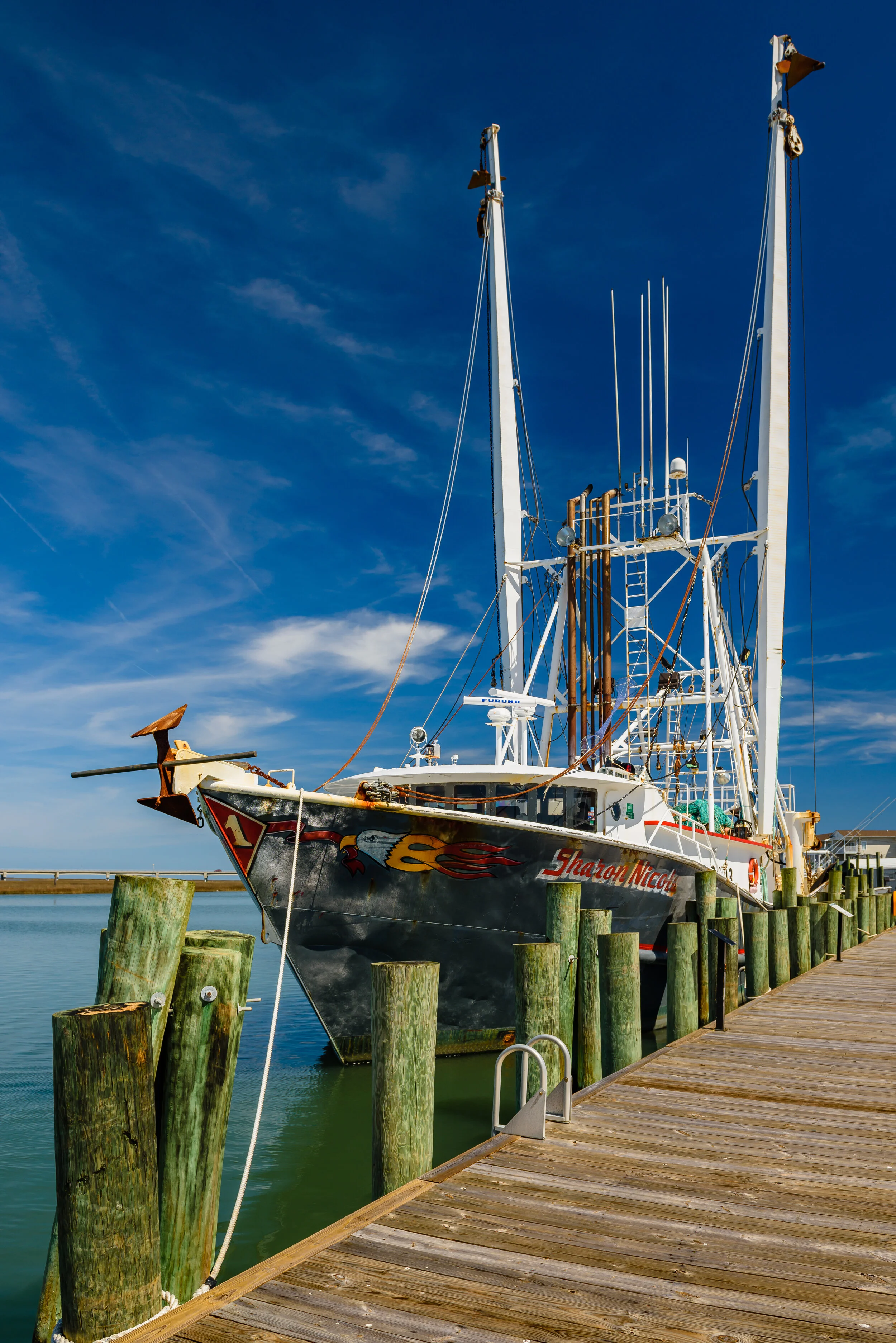 Chincoteague Island, Virginia